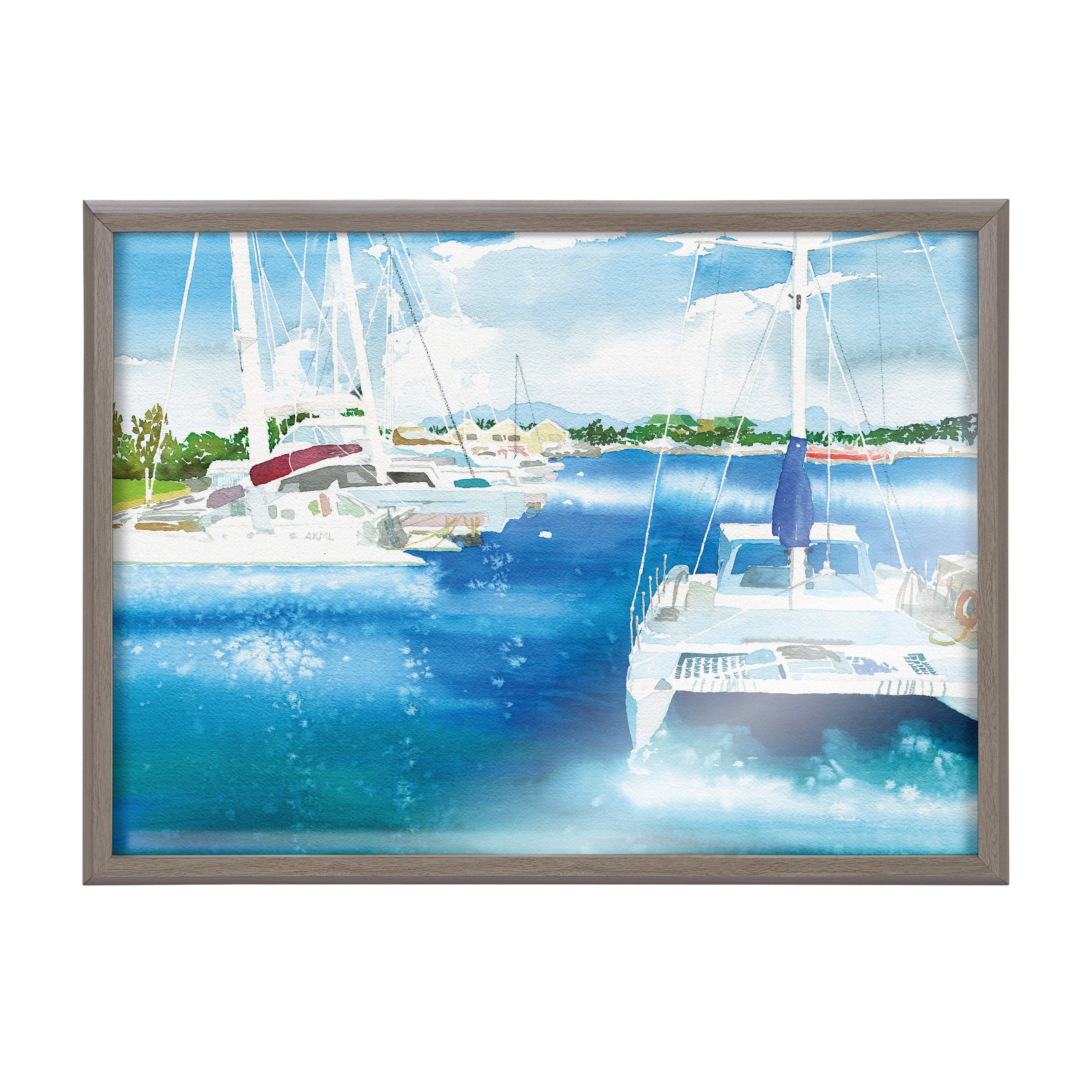Blake Summer is for Sailing Framed Printed Glass by Janet Meinke-Lau