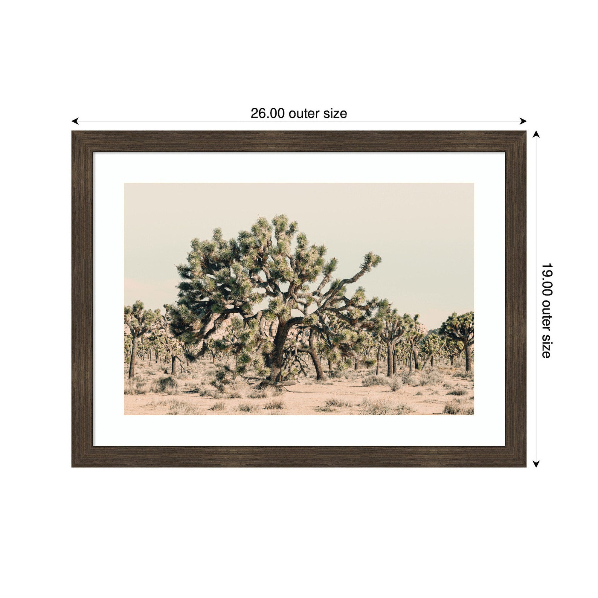 Joshua Tree No. 1 by Alicia Bock Framed Wall Art Print