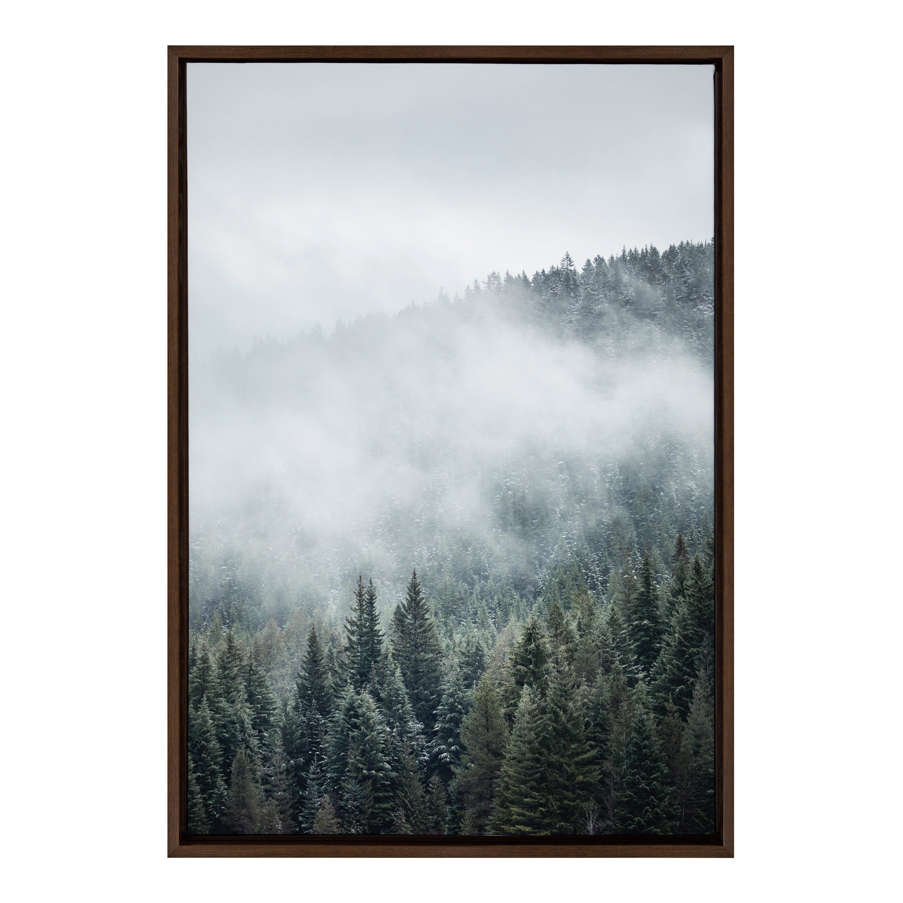 Framed Canvas 23x33 Sylvie Walnut 2