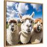 Funny Llama Selfie by The Creative Bunch Studio