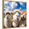 Funny Llama Selfie by The Creative Bunch Studio