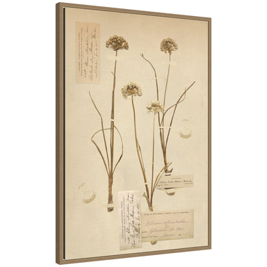 Framed Canvas 23x33 Sylvie Dark Gold 1