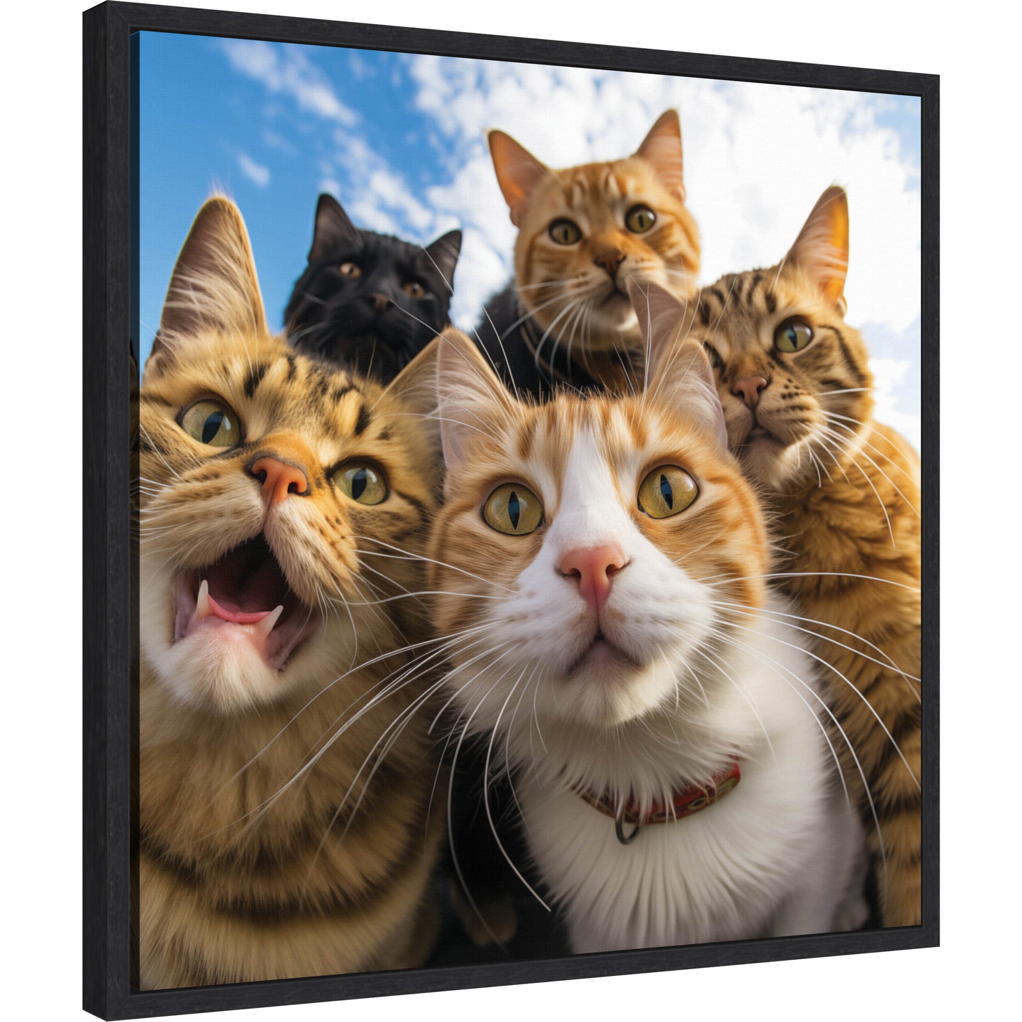 Funny Cat Selfie by The Creative Bunch Studio