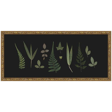 Framed Art 25x11 Belvedere Bronze 1