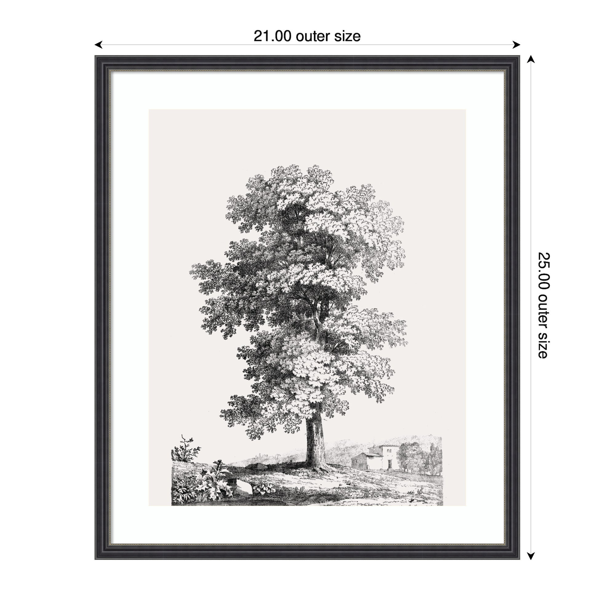 Framed Art Jean Victor Bertin Study of a Tree 1816 by The Art Institute of Chicago