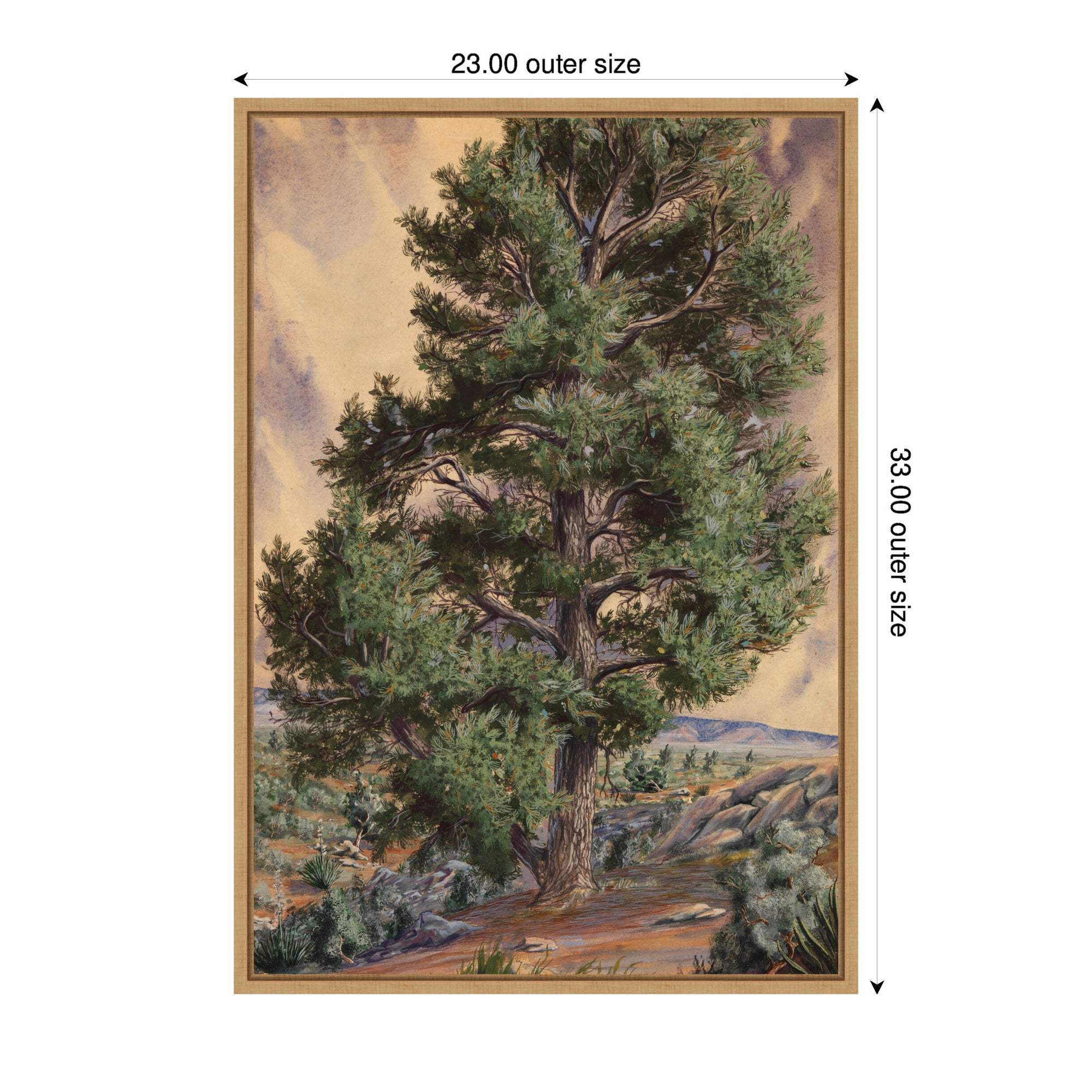 Framed Canvas 23x33 Sylvie Natural 2
