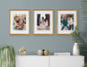Wall Frame Gold 11x14 matted to 8x10 7
