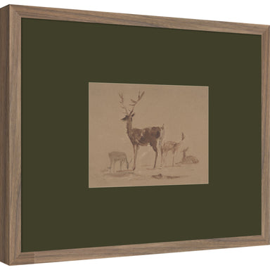 Framed Art Svelte Walnut 21x17 1