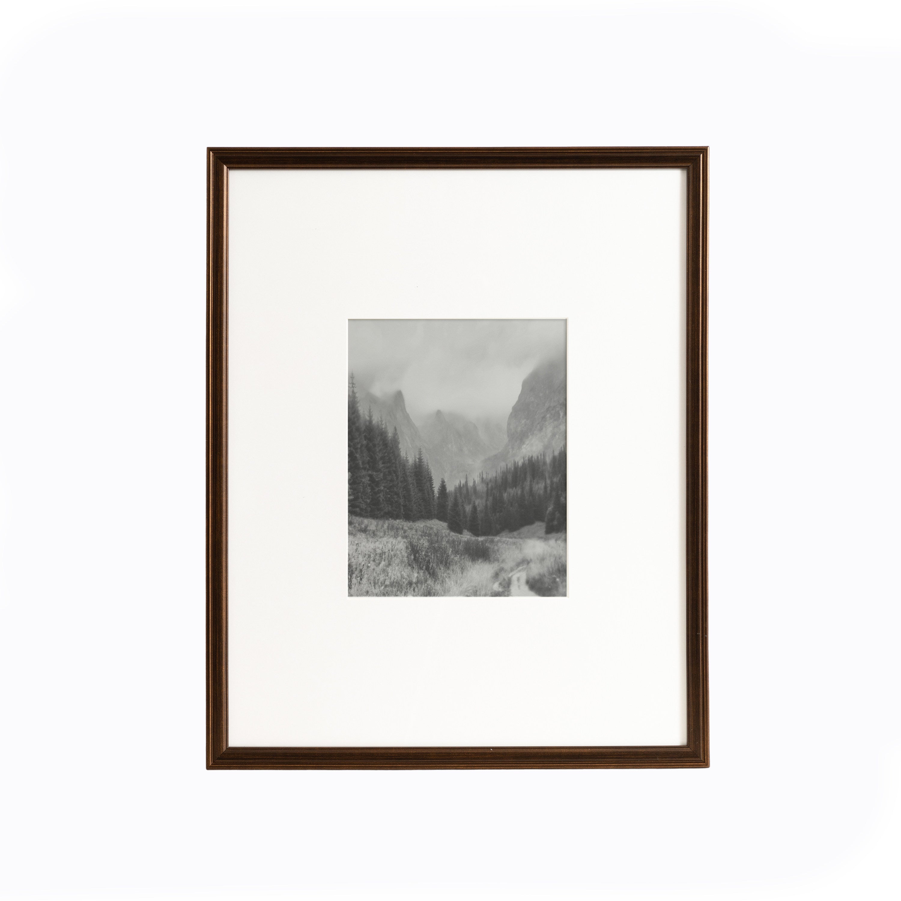 Wall Frame Bronze 16x20 matted to 8x10 6