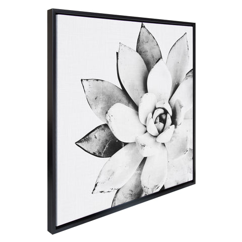 Sylvie Succulent Framed Canvas by Simon Te of Tai Prints