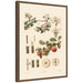 Framed Canvas 18x24 Sylvie Walnut 1