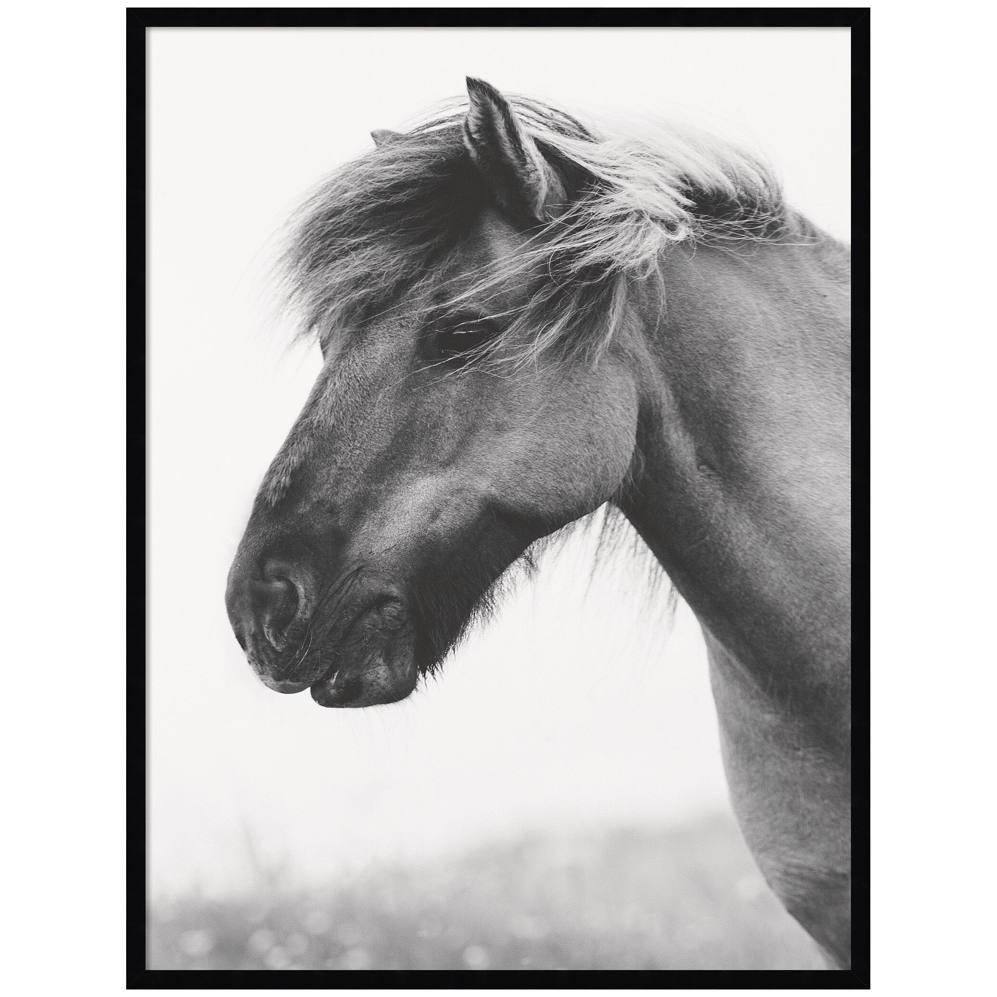 AA Indomitable by Alicia Abla Framed Wall Art Print
