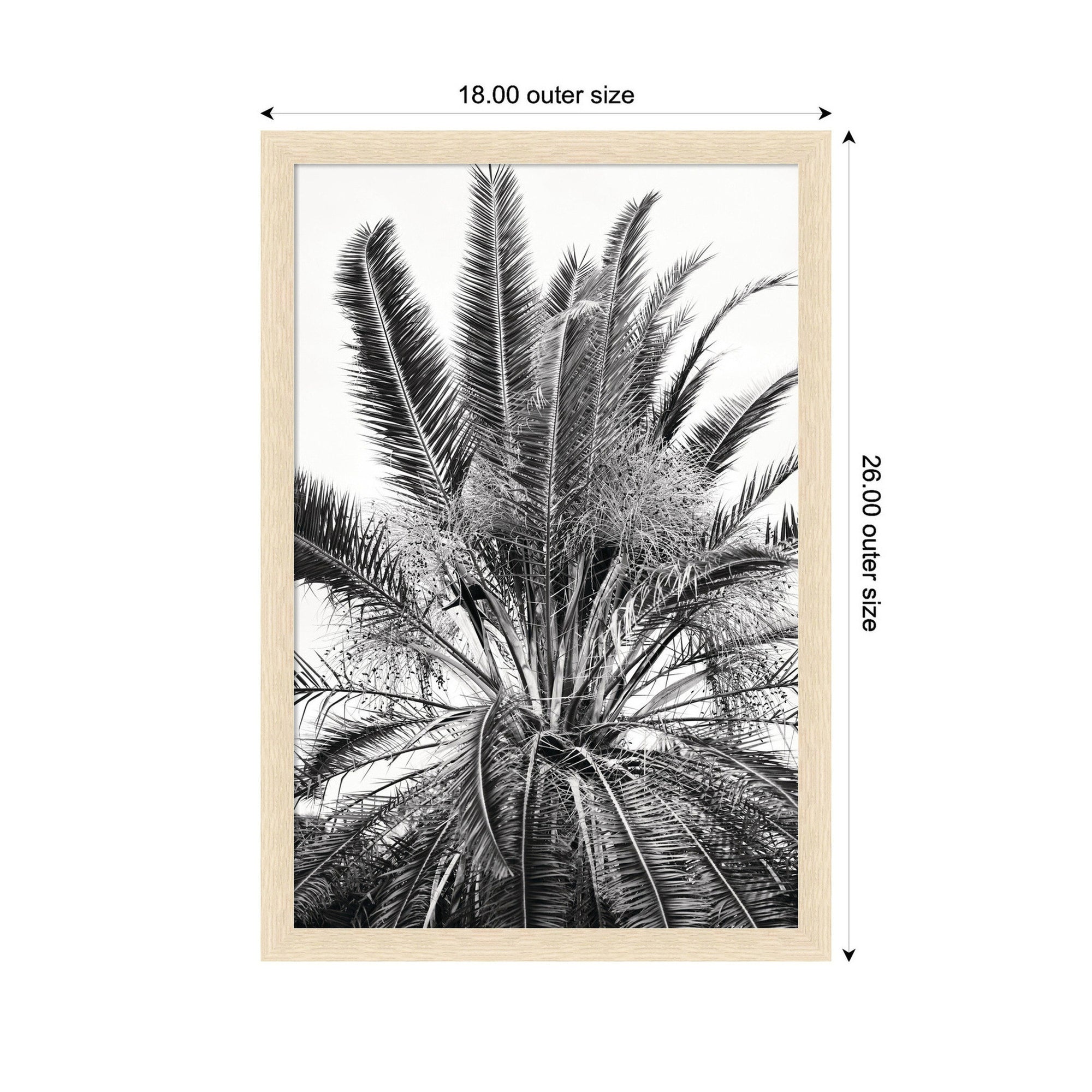 No 15 by Alicia Bock Framed Wall Art Print