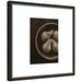 Framed Art 26x26 Belmont Black 7