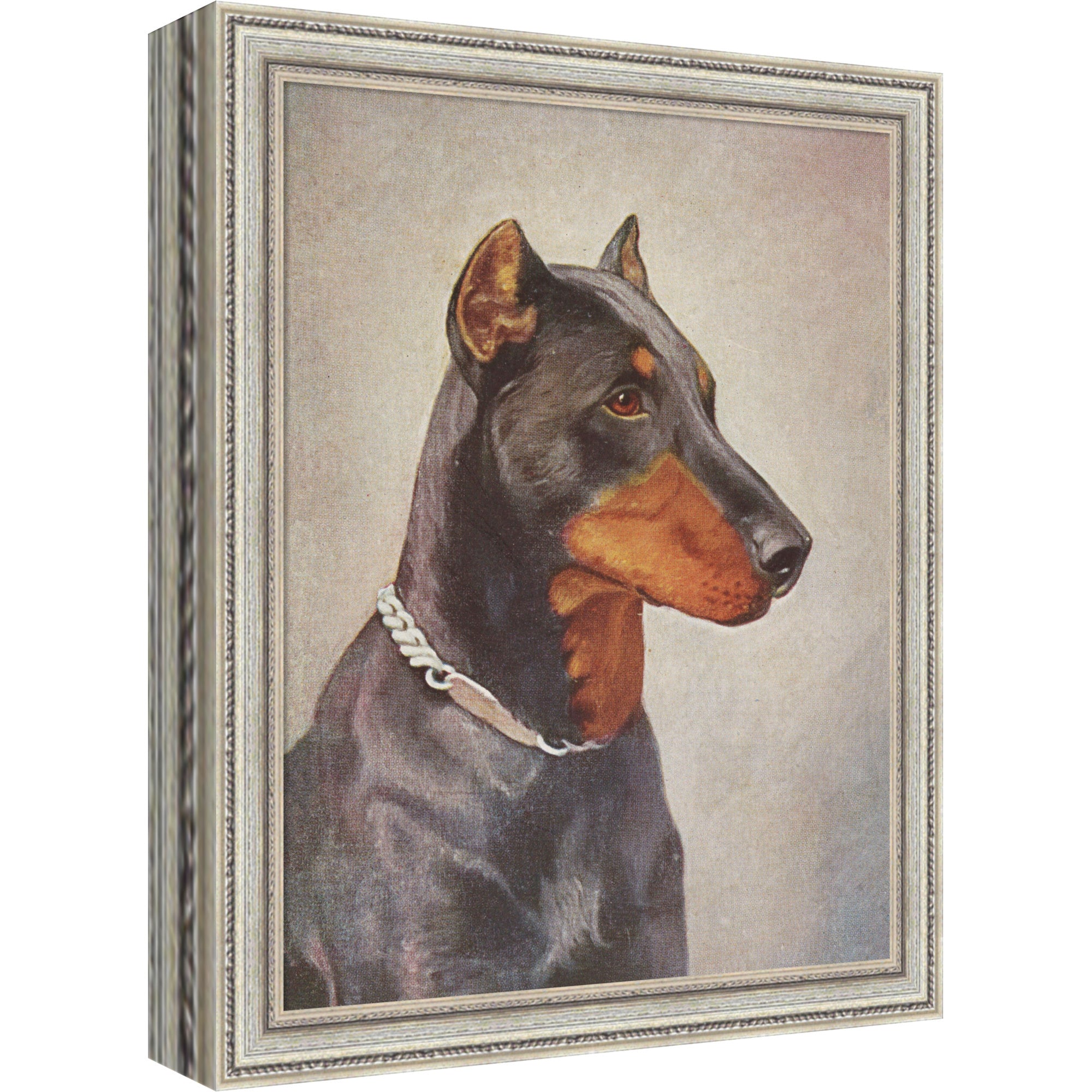 Mounted Canvas 9 x 11 Cordelia Thin Silver 1