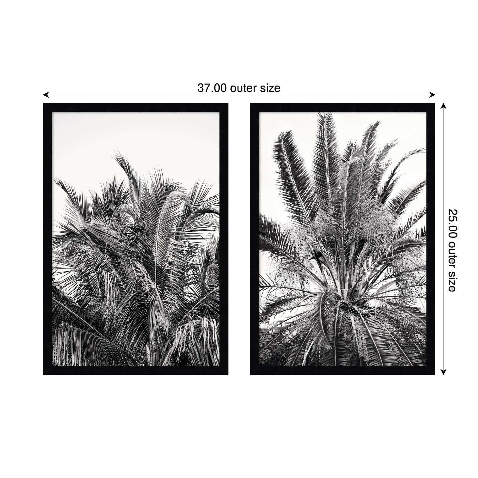 Palm No. 13 & 15 2 Piece Framed Wall Art Print Set by Alicia Bock