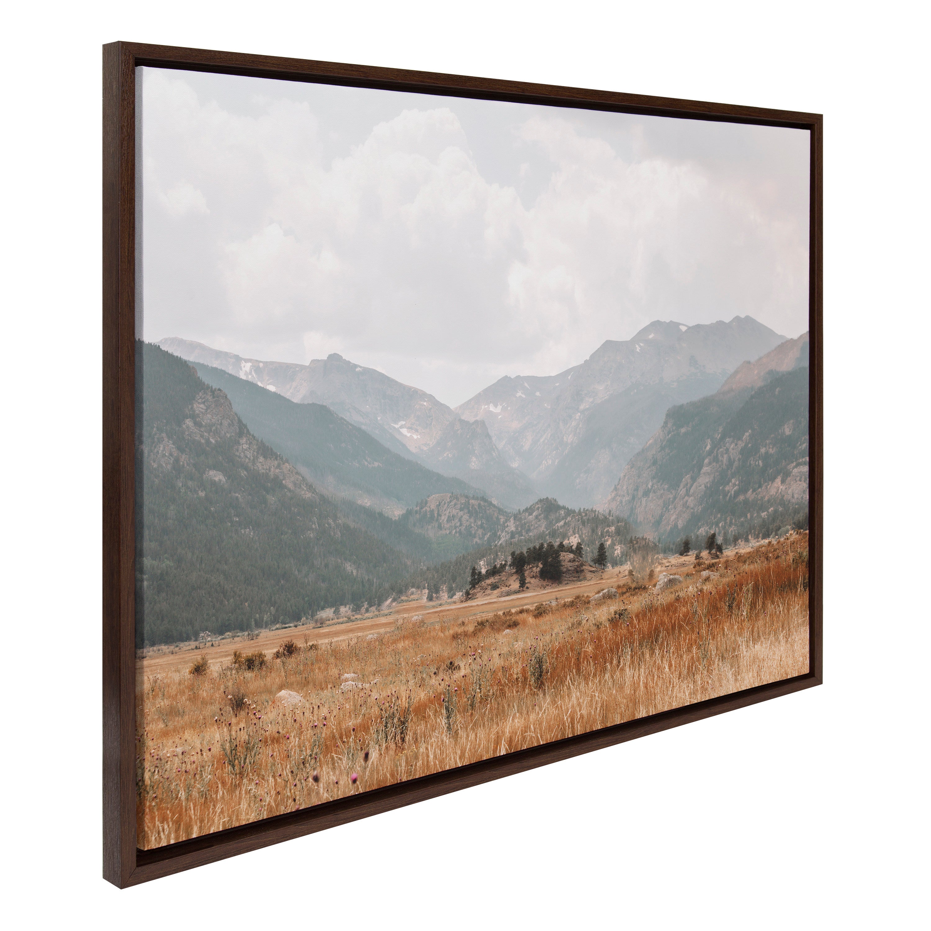 Framed Canvas 28x38 Sylvie Walnut 1