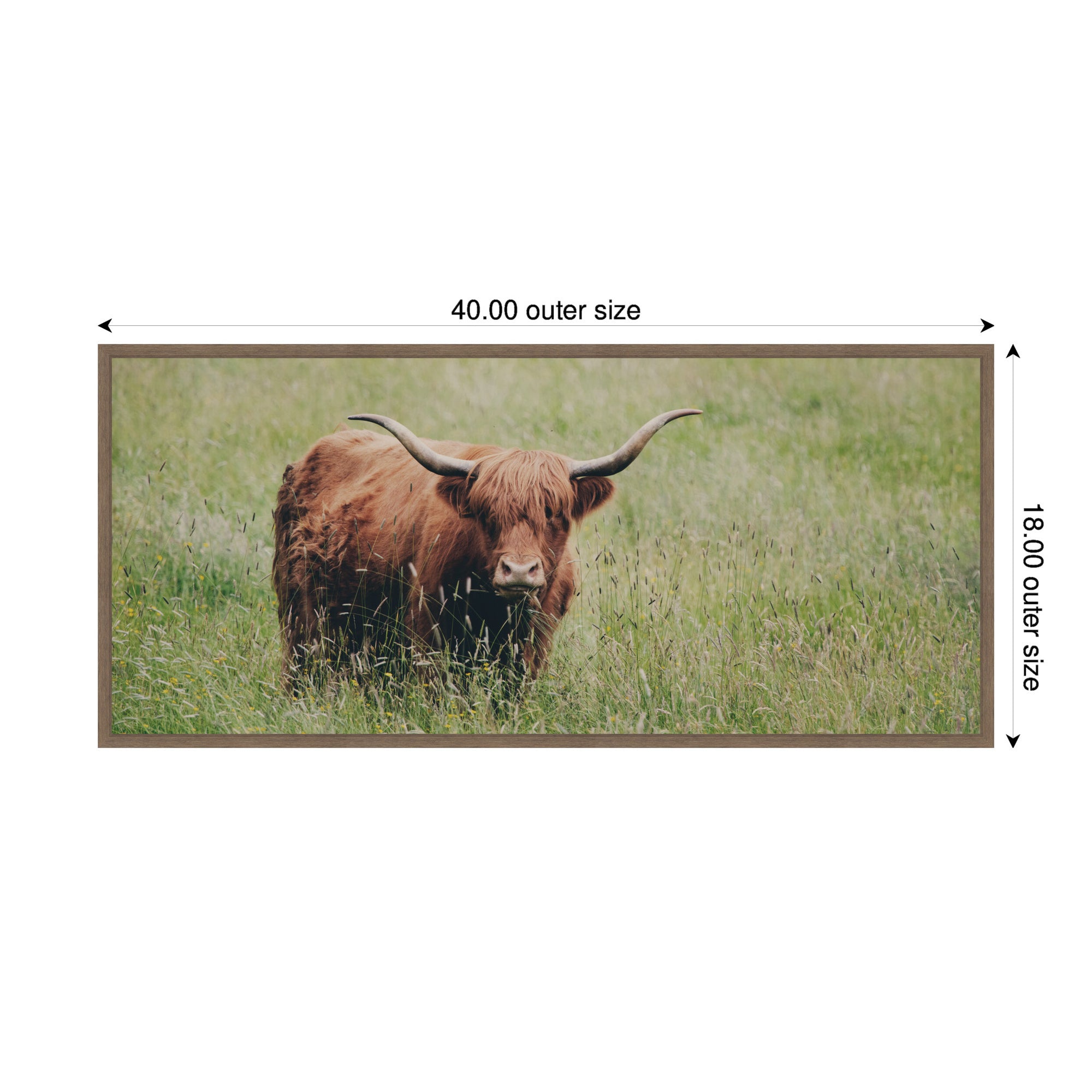 Highland Cow No. 1 by Laura Evans Framed Canvas Wall Art Print