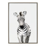 Sylvie Baby Zebra Framed Canvas by Amy Peterson