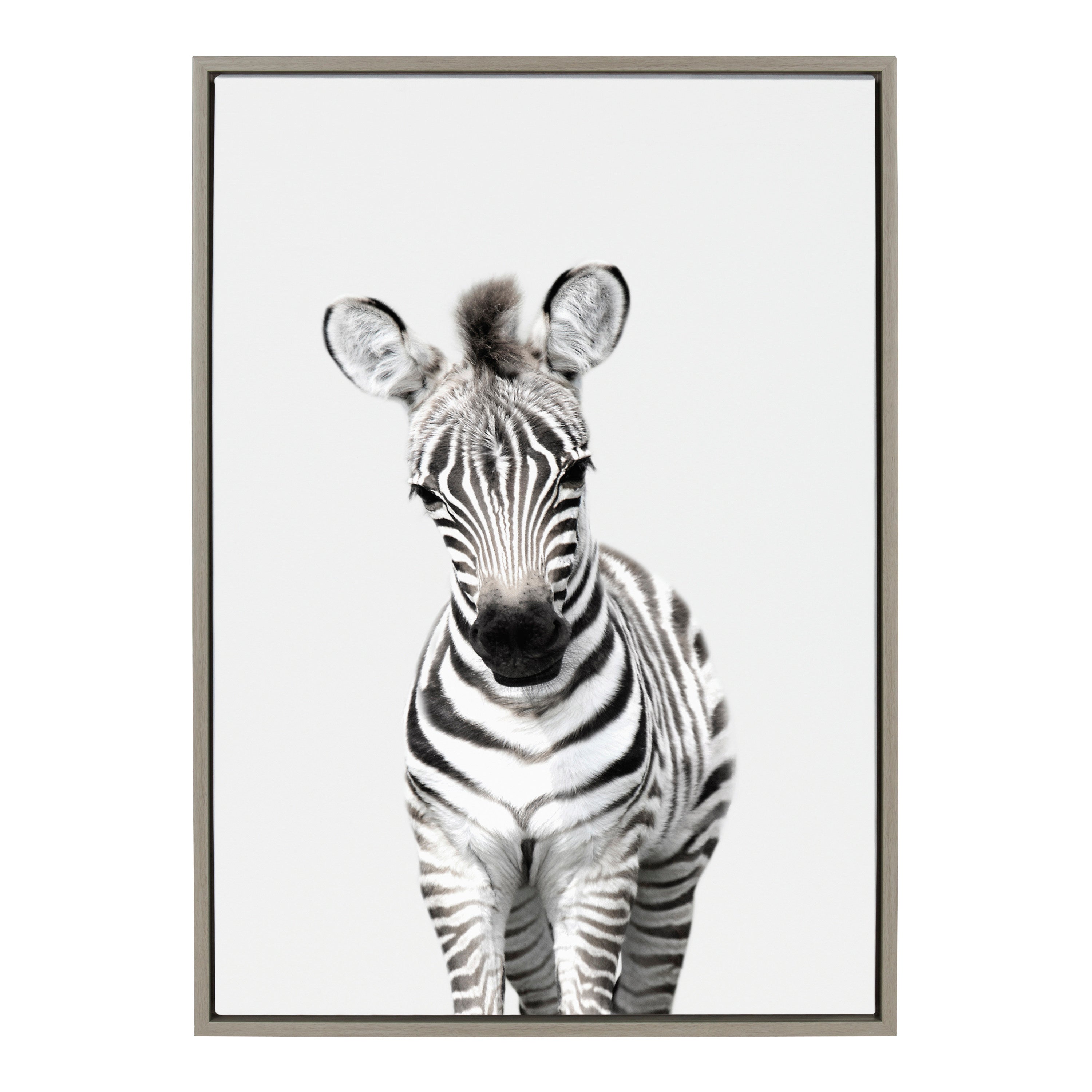 Framed Canvas Sylvie Graywash 23x33 1