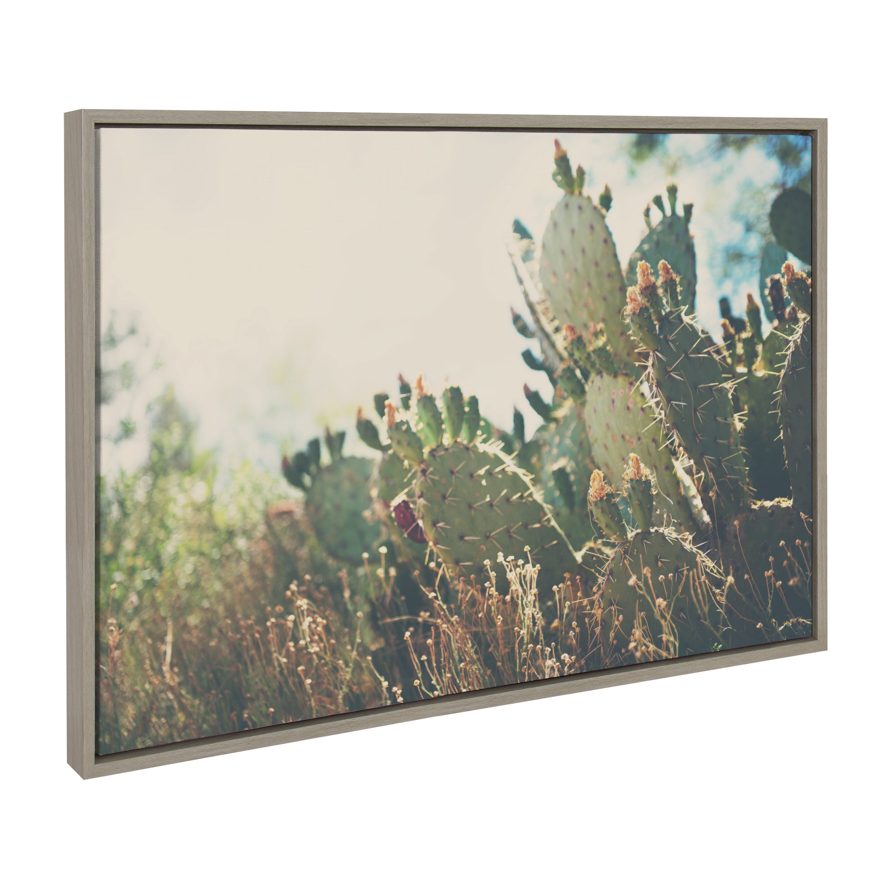 Framed Canvas Sylvie Graywash 23x33 1