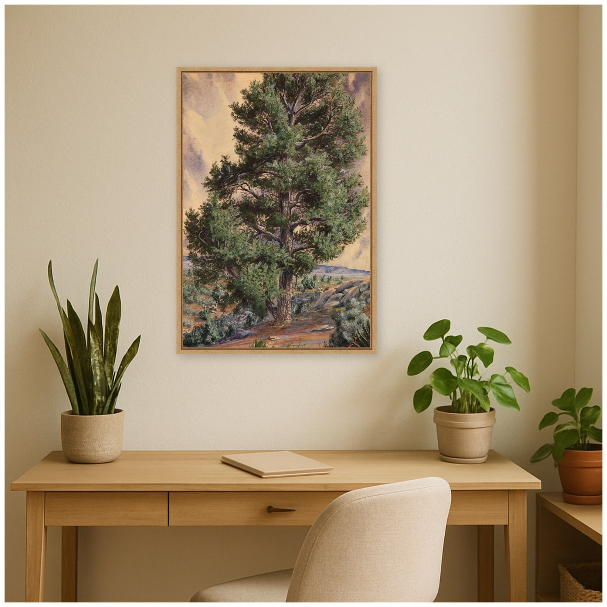 Framed Canvas 23x33 Sylvie Natural 7