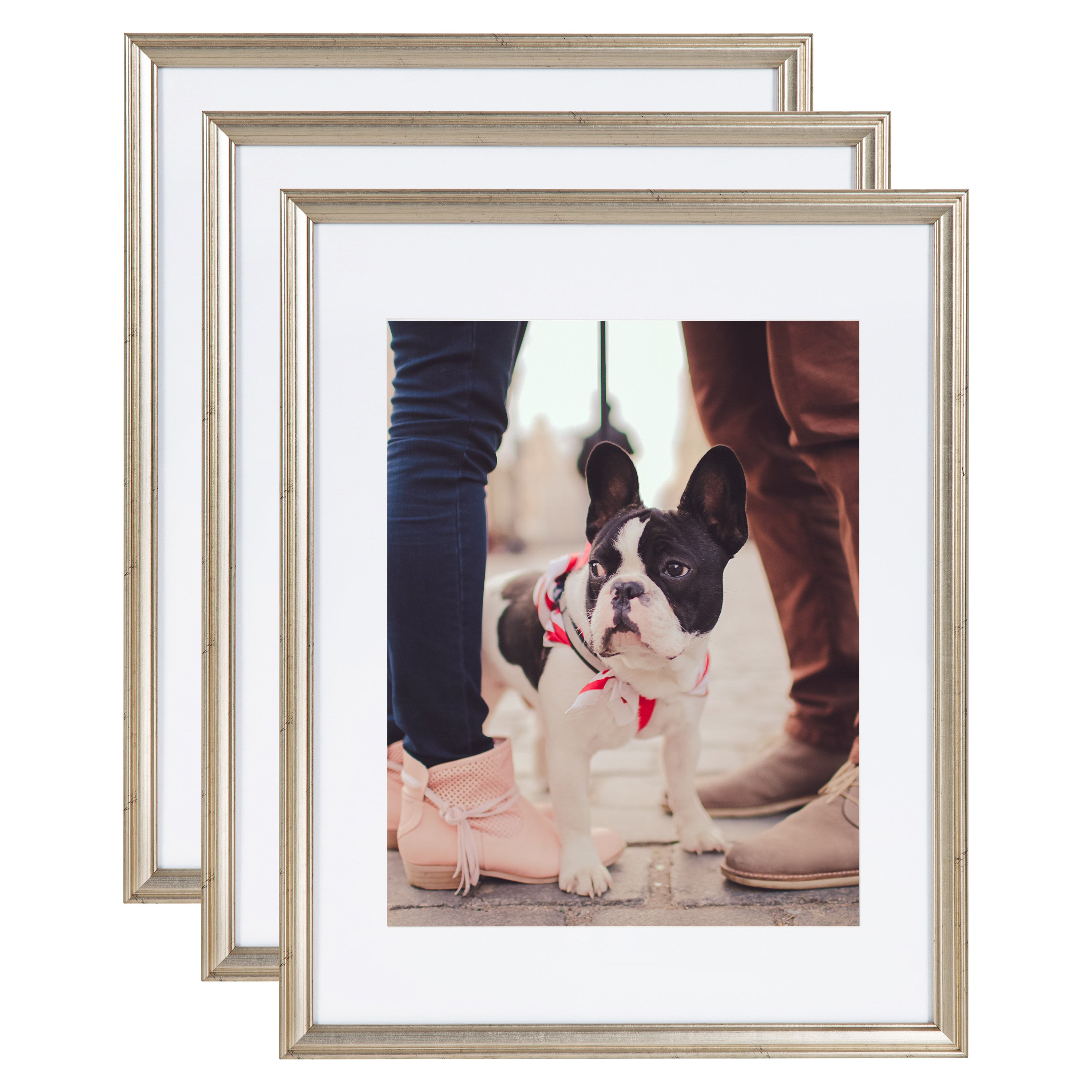 Wall Frame Silver 14x18 matted to 11x14 1
