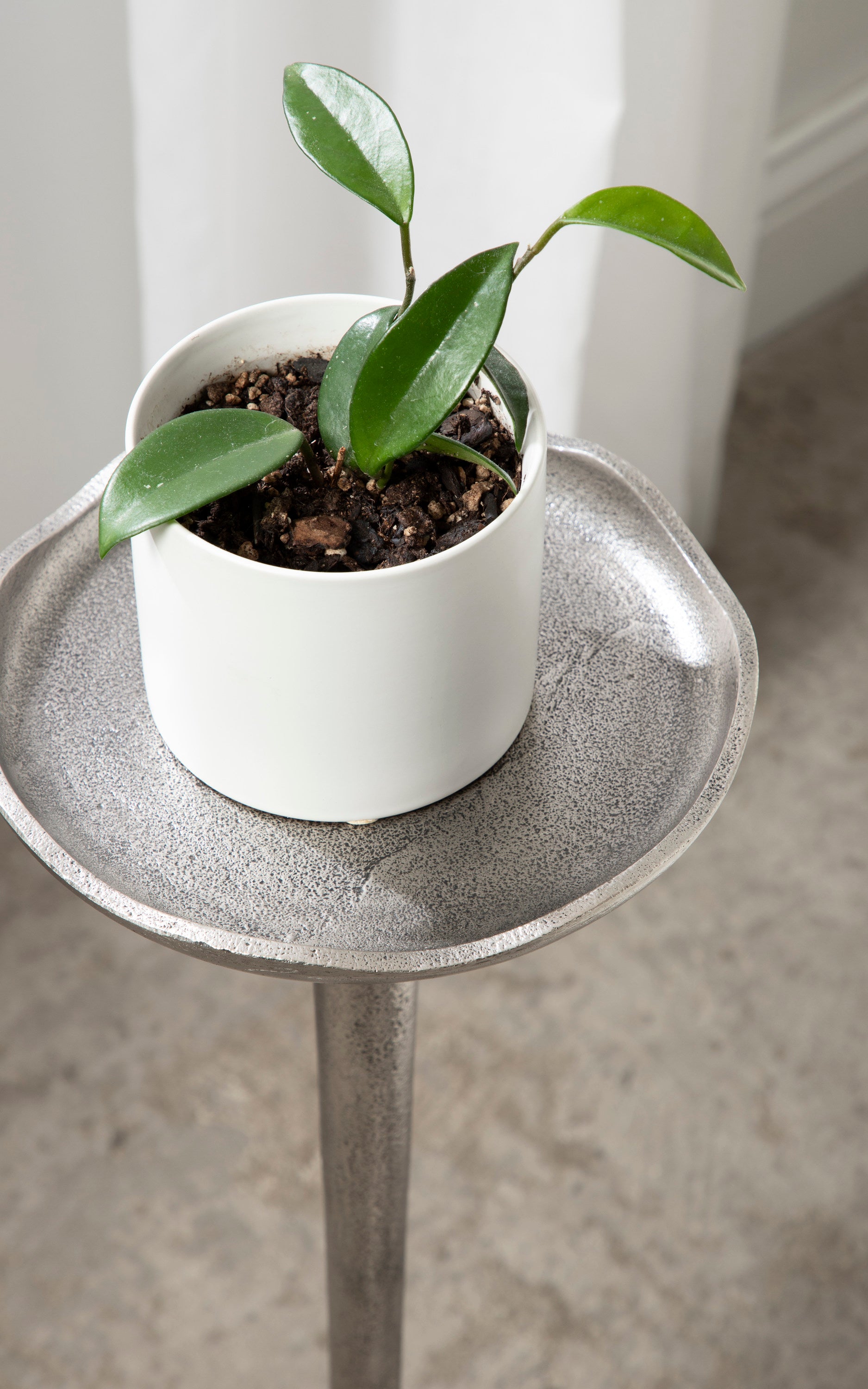Drink Table Silver 8x8x22 6