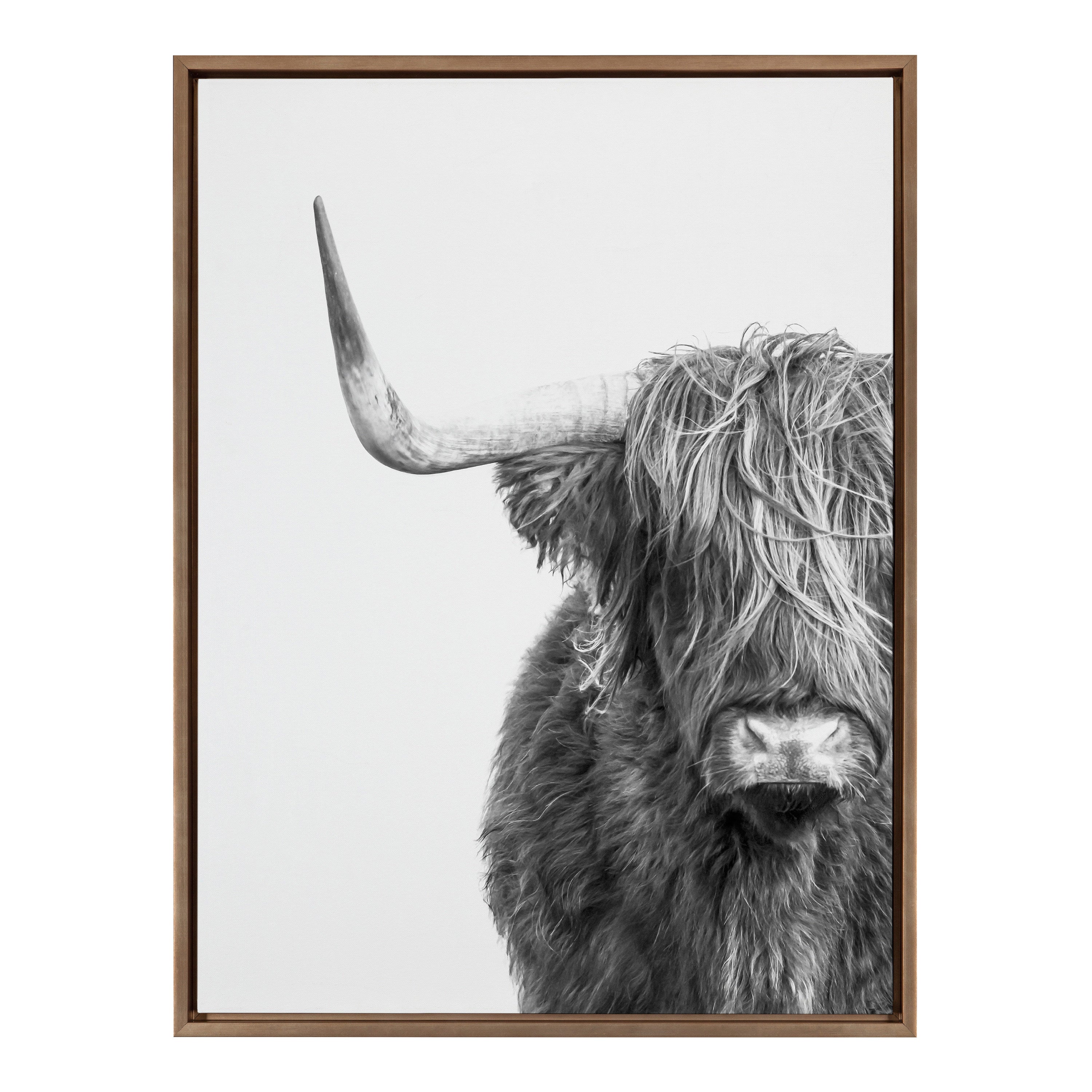 Framed Canvas Sylvie Dark Gold 28x38 2