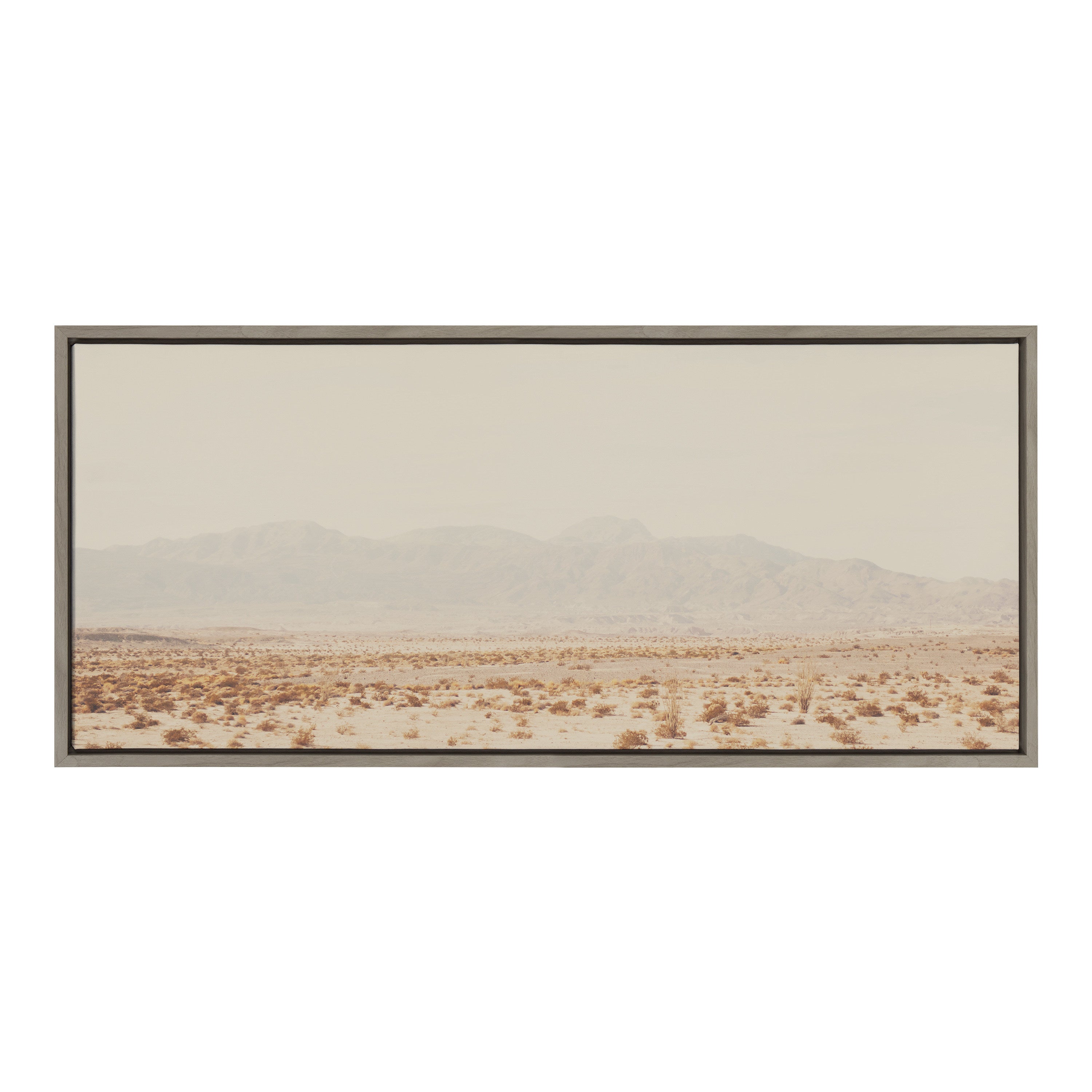 Framed Canvas Sylvie Graywash 18x40 2