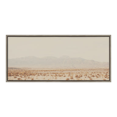 Framed Canvas Sylvie Graywash 18x40 2