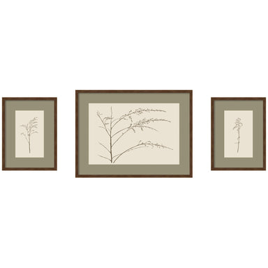 Framed Art Set 3 Piece Set 15x20/24x32 Carlisle Brown Narrow 1