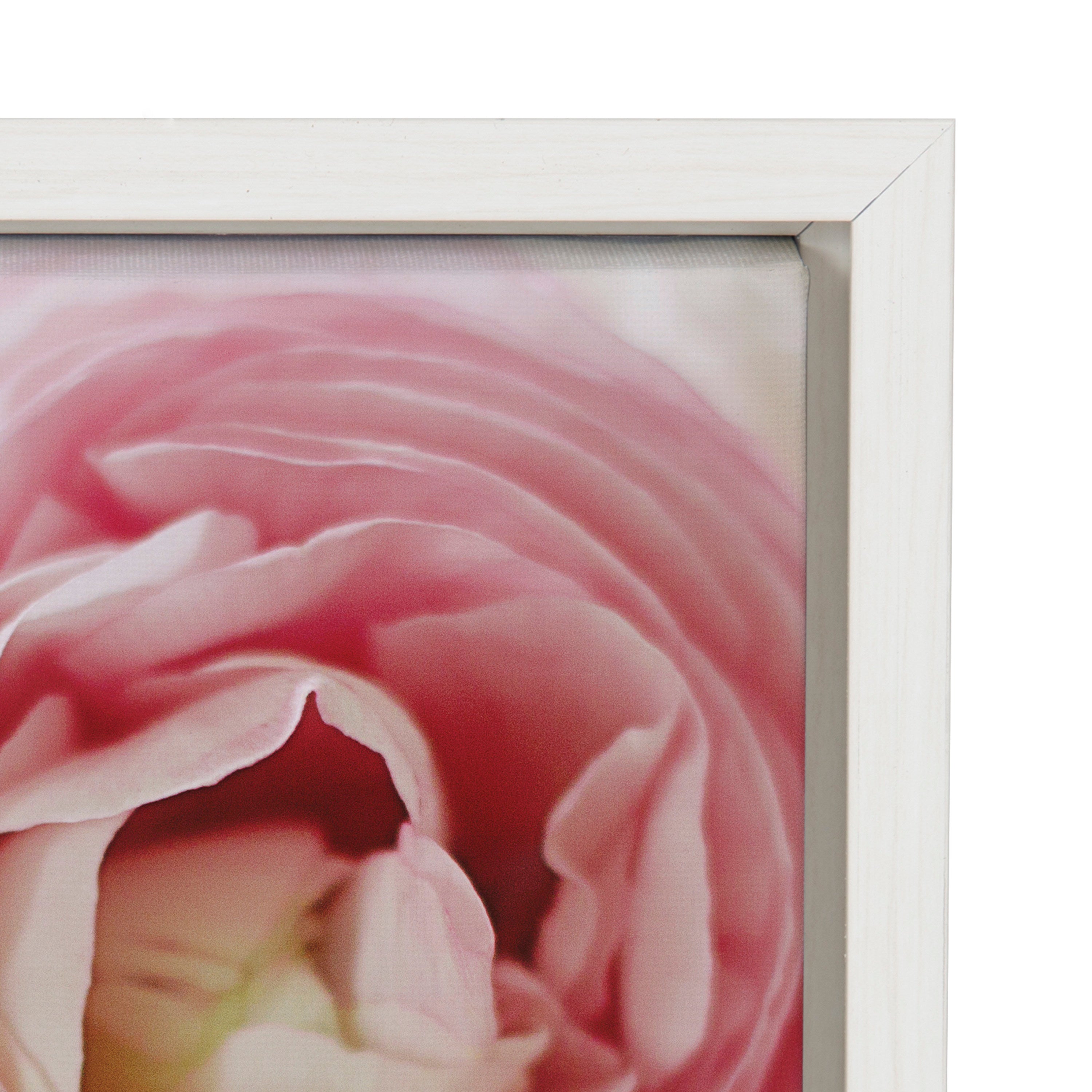Sylvie Pink Dreams Framed Canvas by Kristy Campbell