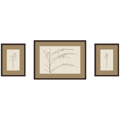 Framed Art Set 3 Piece Set 15x20/24x32 Carlisle Espresso Narrow 1