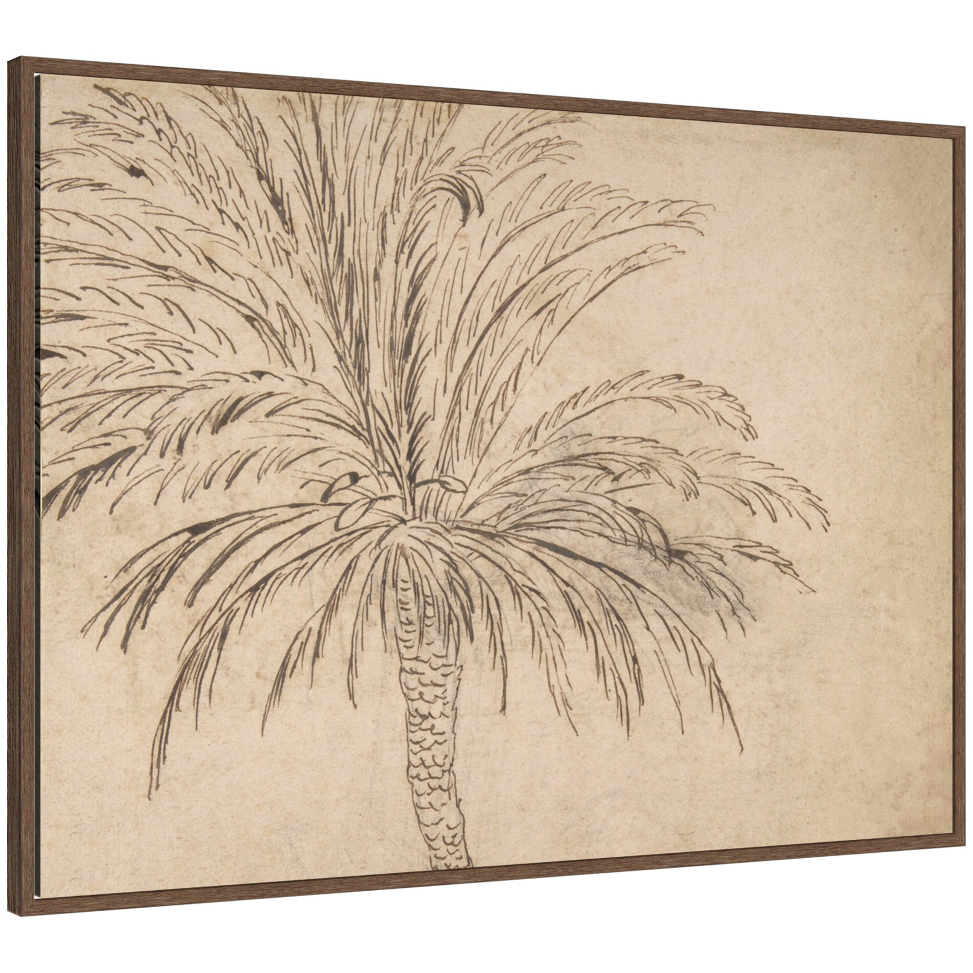 Framed Canvas 38x28 Sylvie Walnut 1