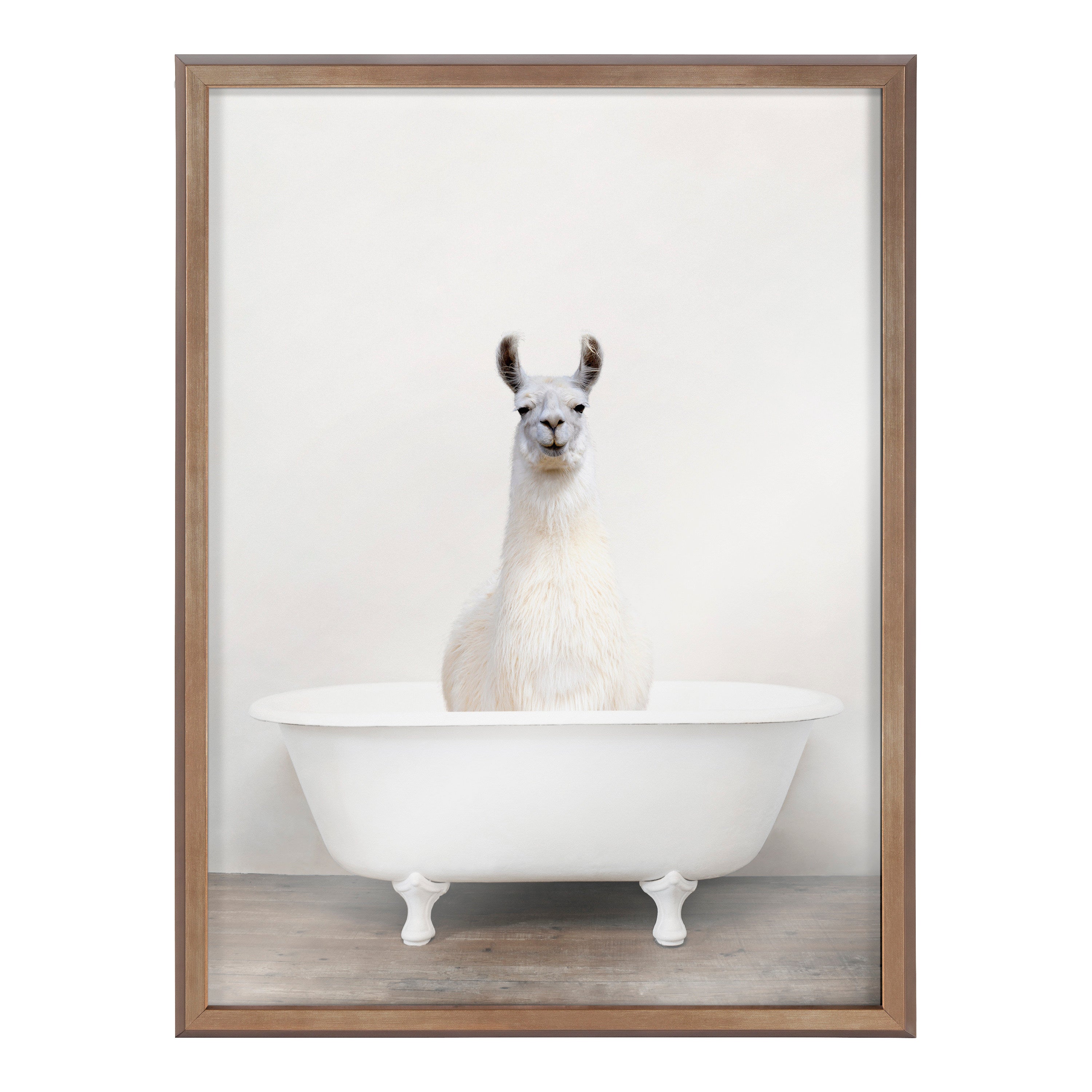 Blake Alpaca in the Tub Color Framed Printed Glass by Amy Peterson Art Studio