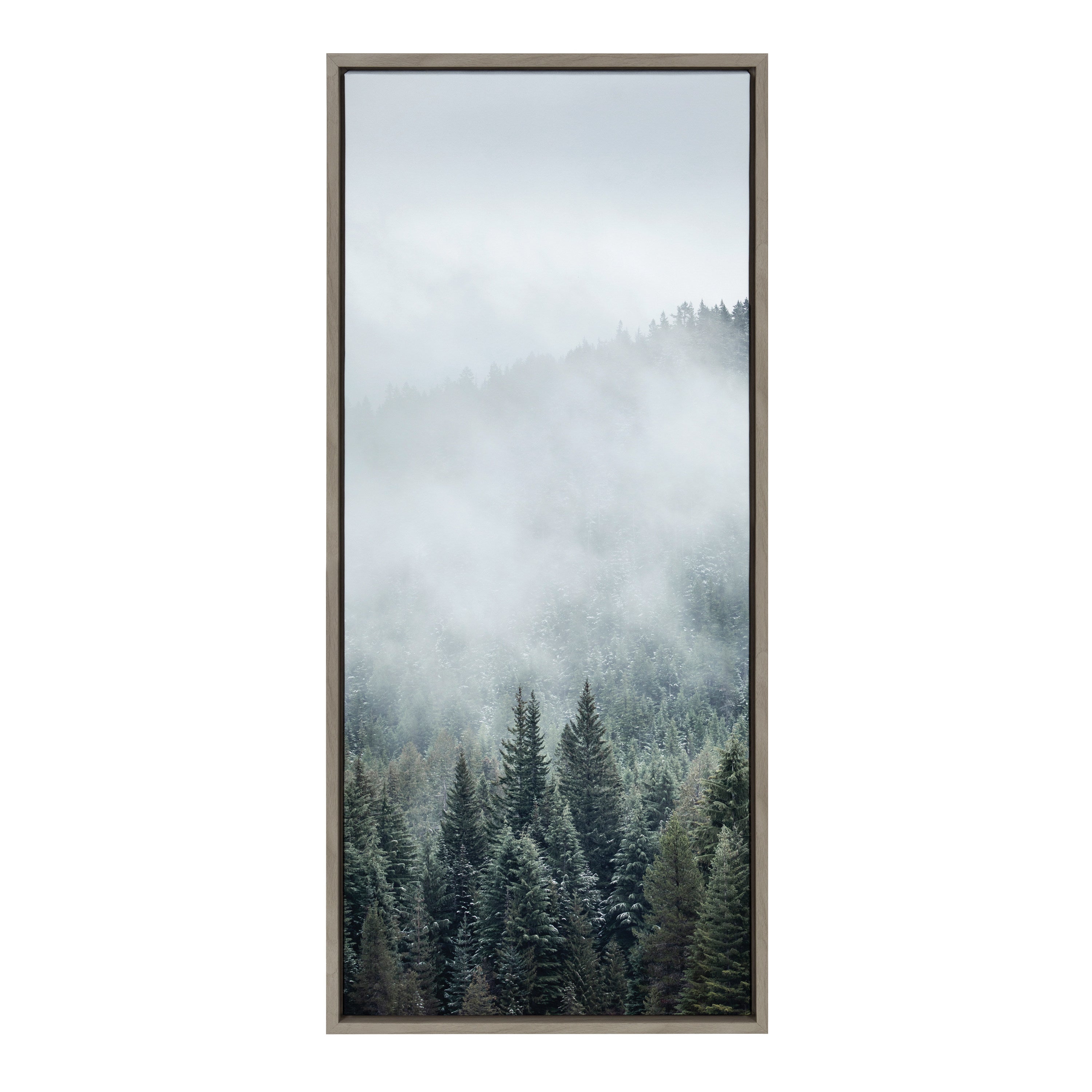 Framed Canvas 18x40 Sylvie Graywash 1