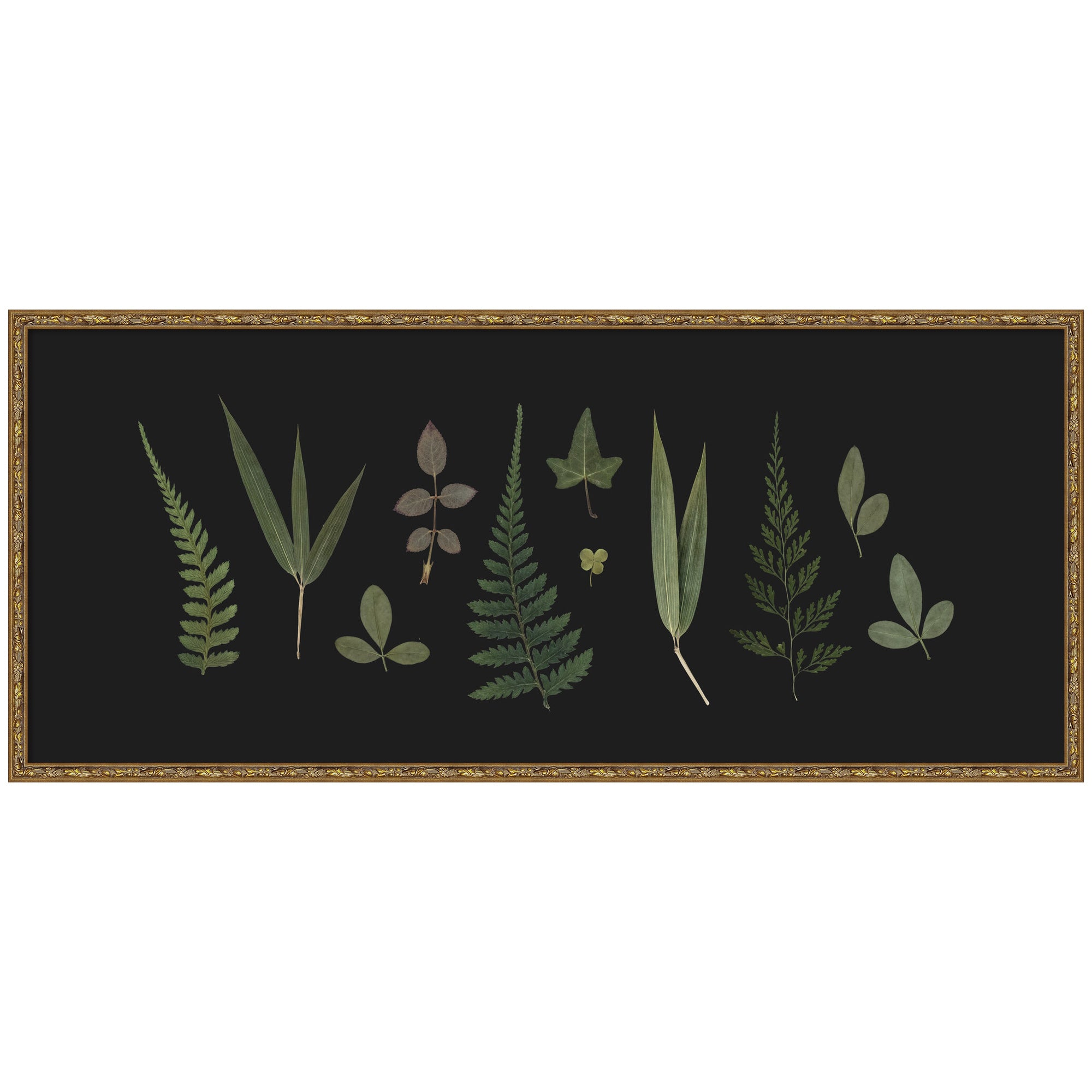Framed Art 41x18 Belvedere Bronze 1