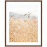 Framed Art Wild Fennel by Crystal Lynn Collins