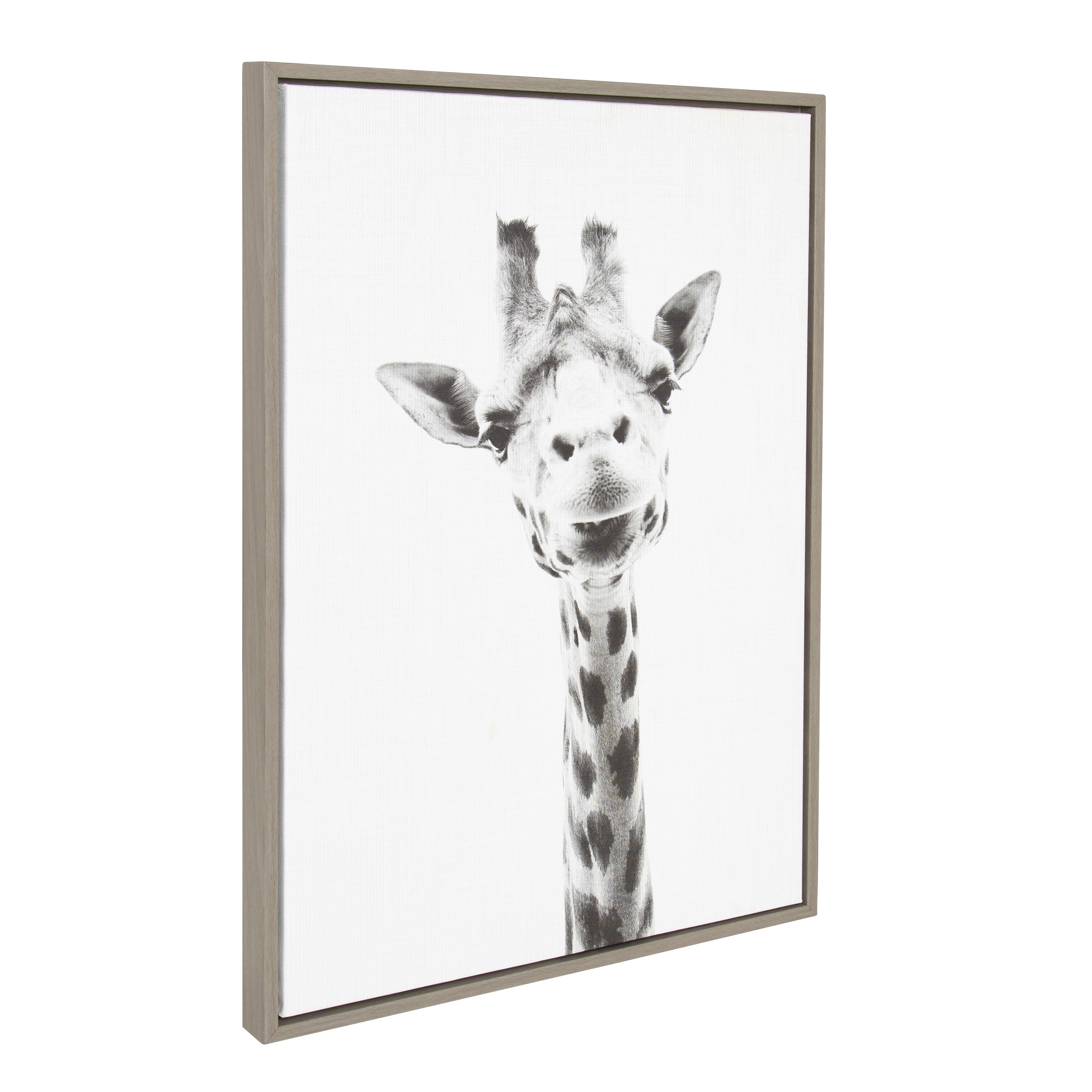 Framed Canvas Sylvie Graywash 23x33 2