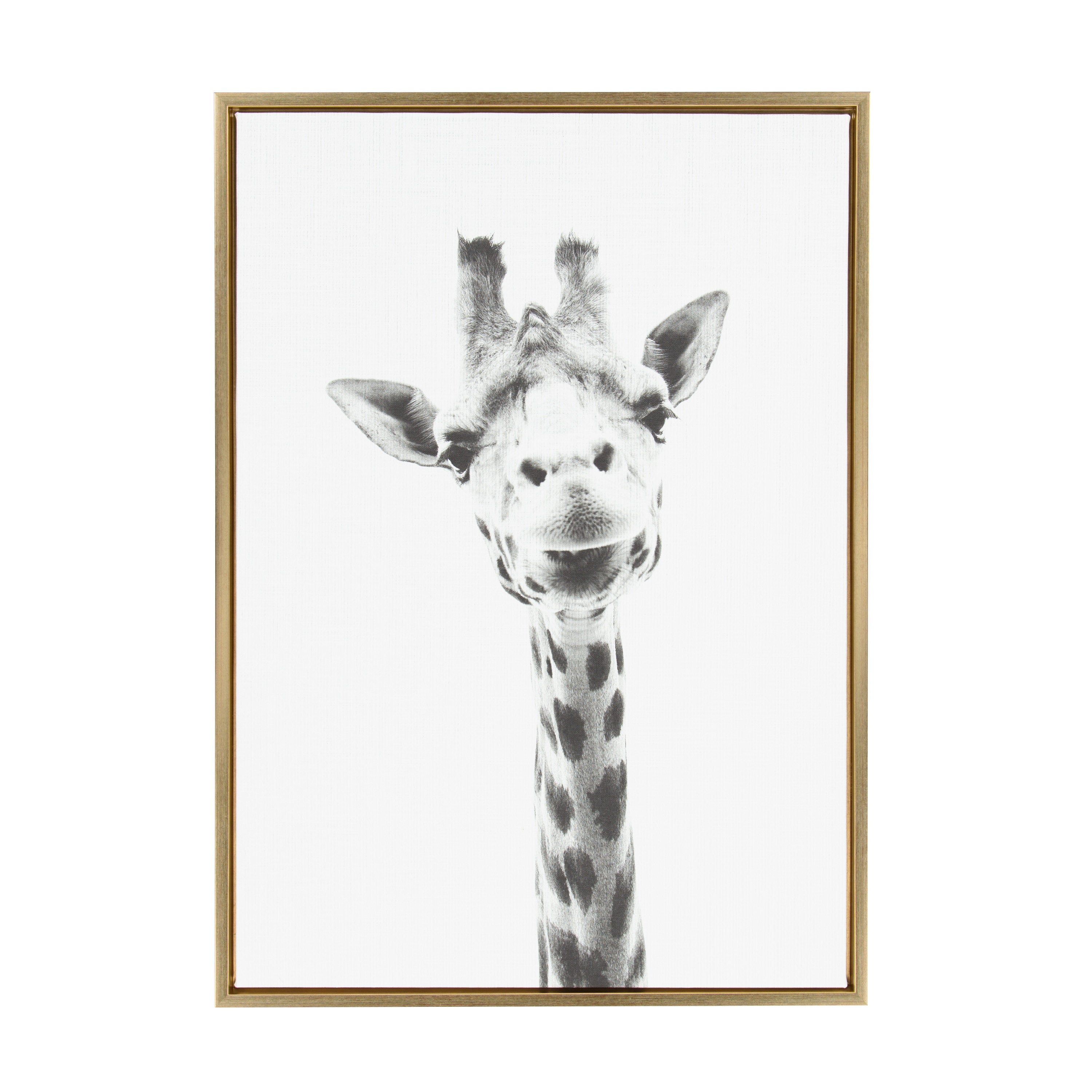 Framed Canvas Sylvie Bright Gold 23x33 1