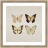 Framed Art Vintage Style Butterflies in Neutral Tones by The Creative Bunch Studio