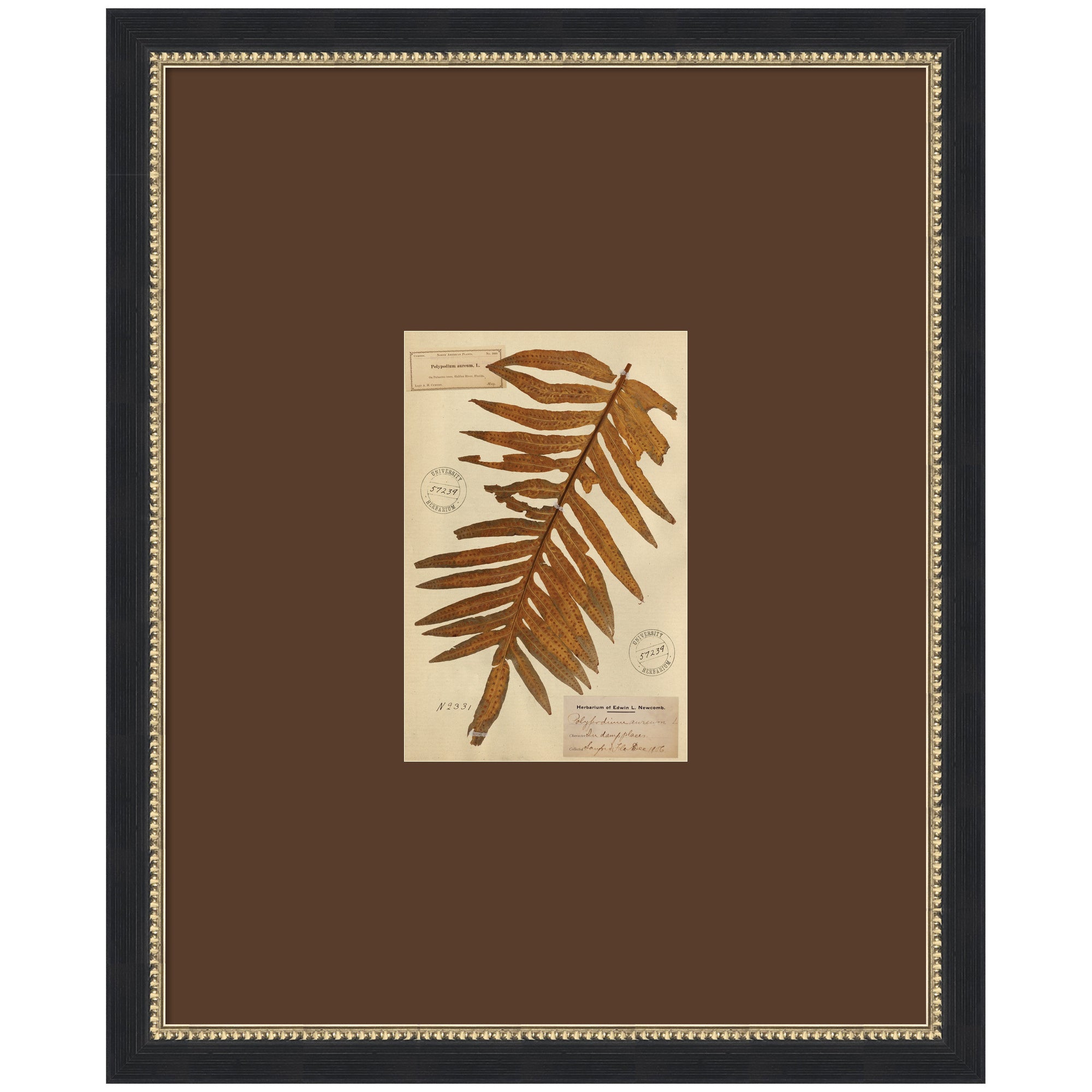 Framed Art 18x22 Belmont Black 1