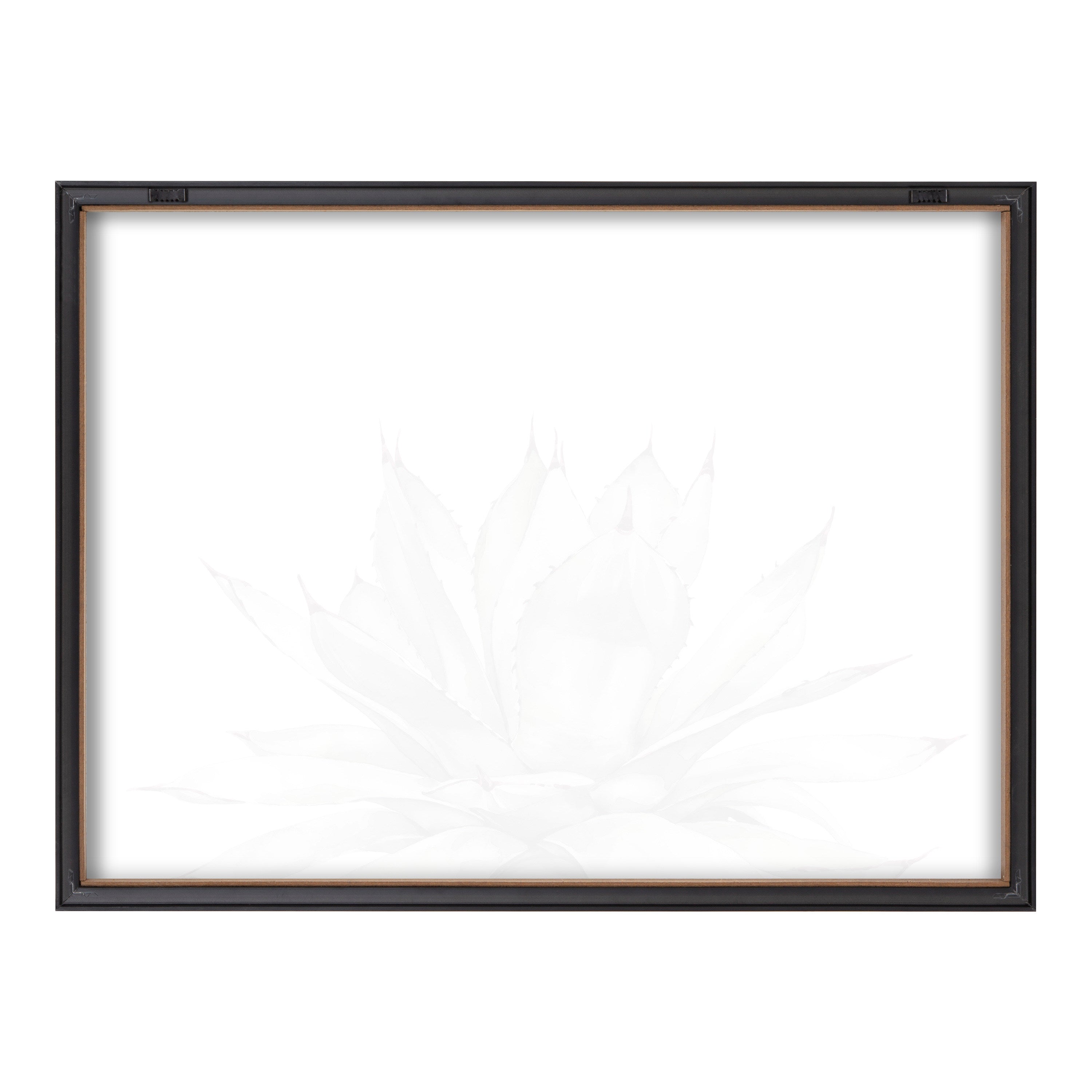 Blake Parrys Agave Framed Printed Glass by Emily Marie Watercolors