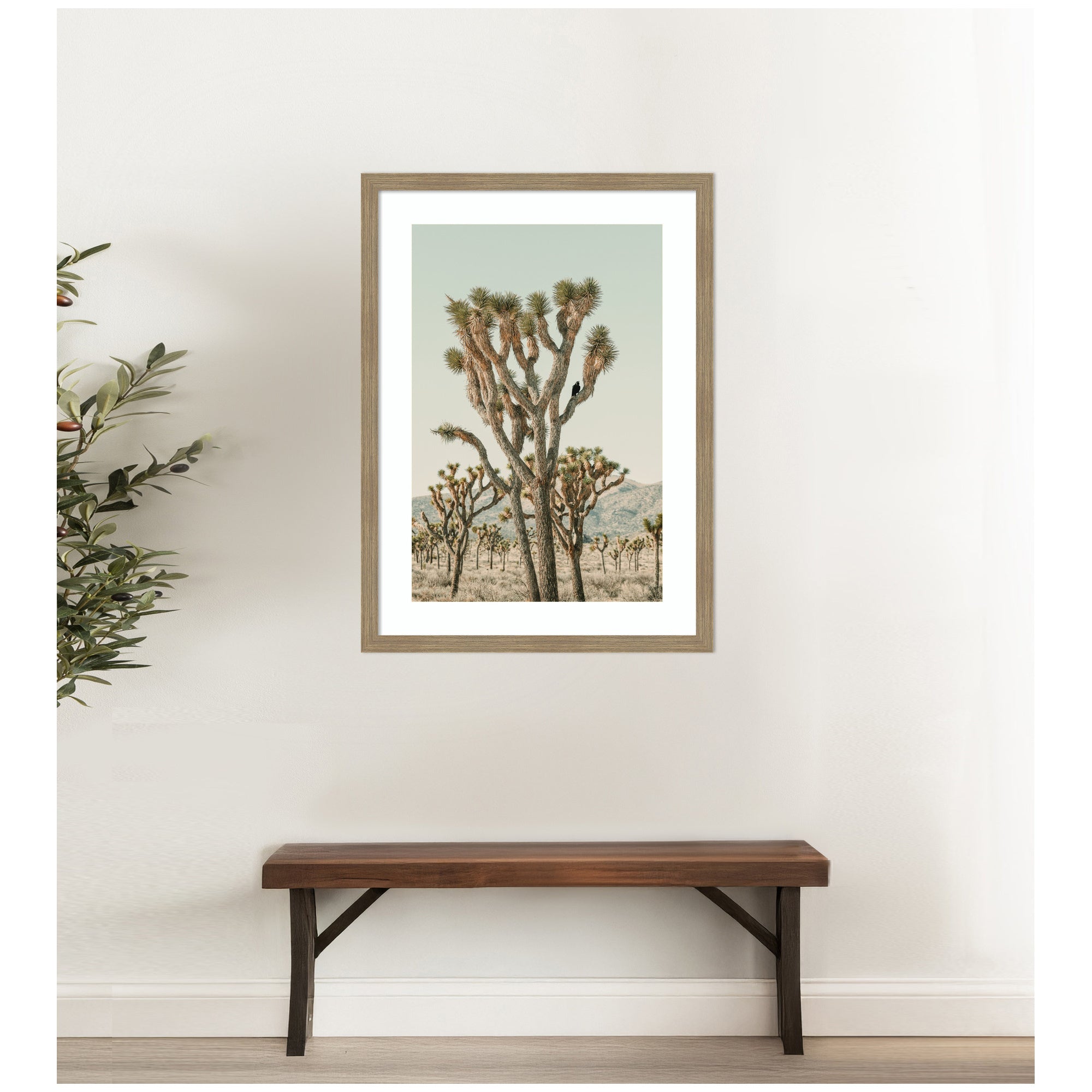 Joshua Tree With Crow by Alicia Bock Framed Wall Art Print