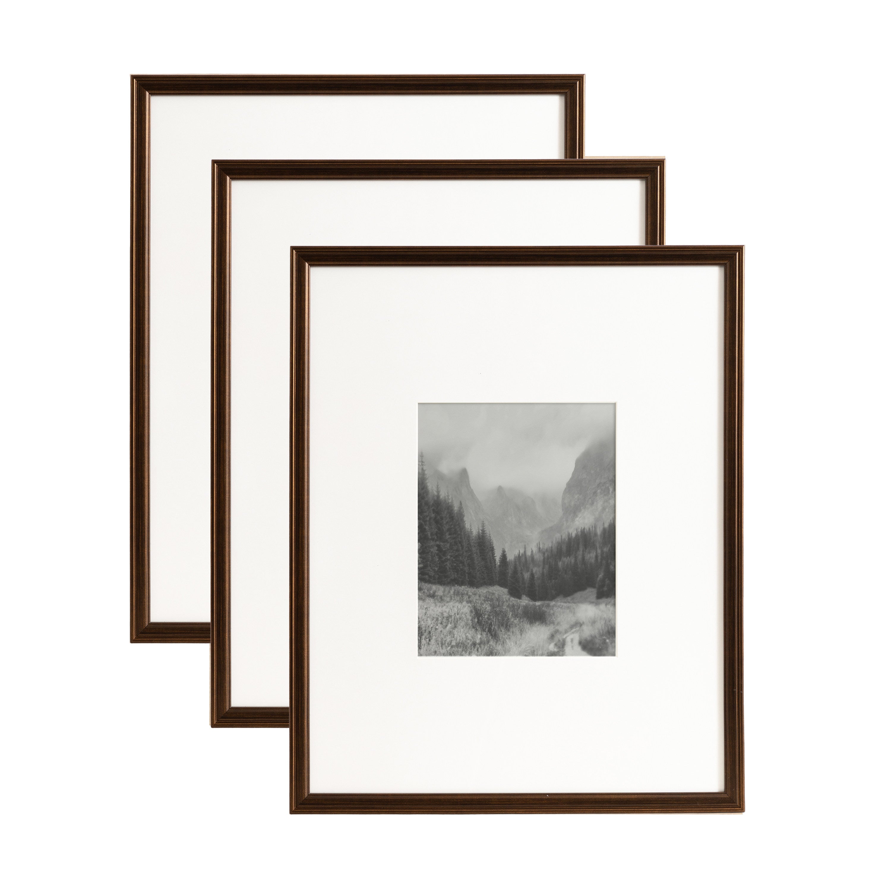 Wall Frame Bronze 16x20 matted to 8x10 1