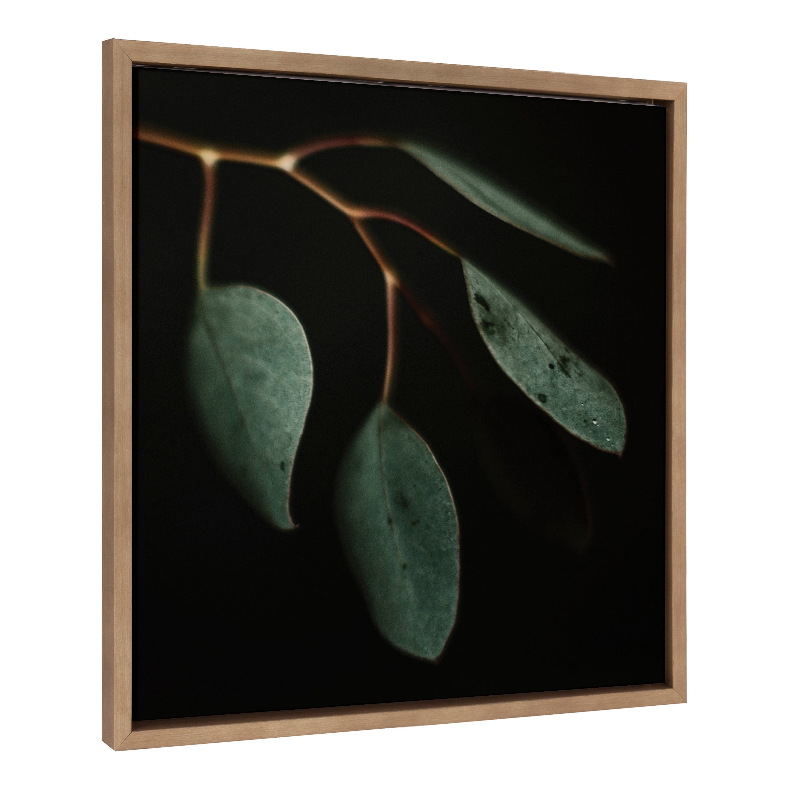 Framed Canvas 22x22 Sylvie Dark Gold 2