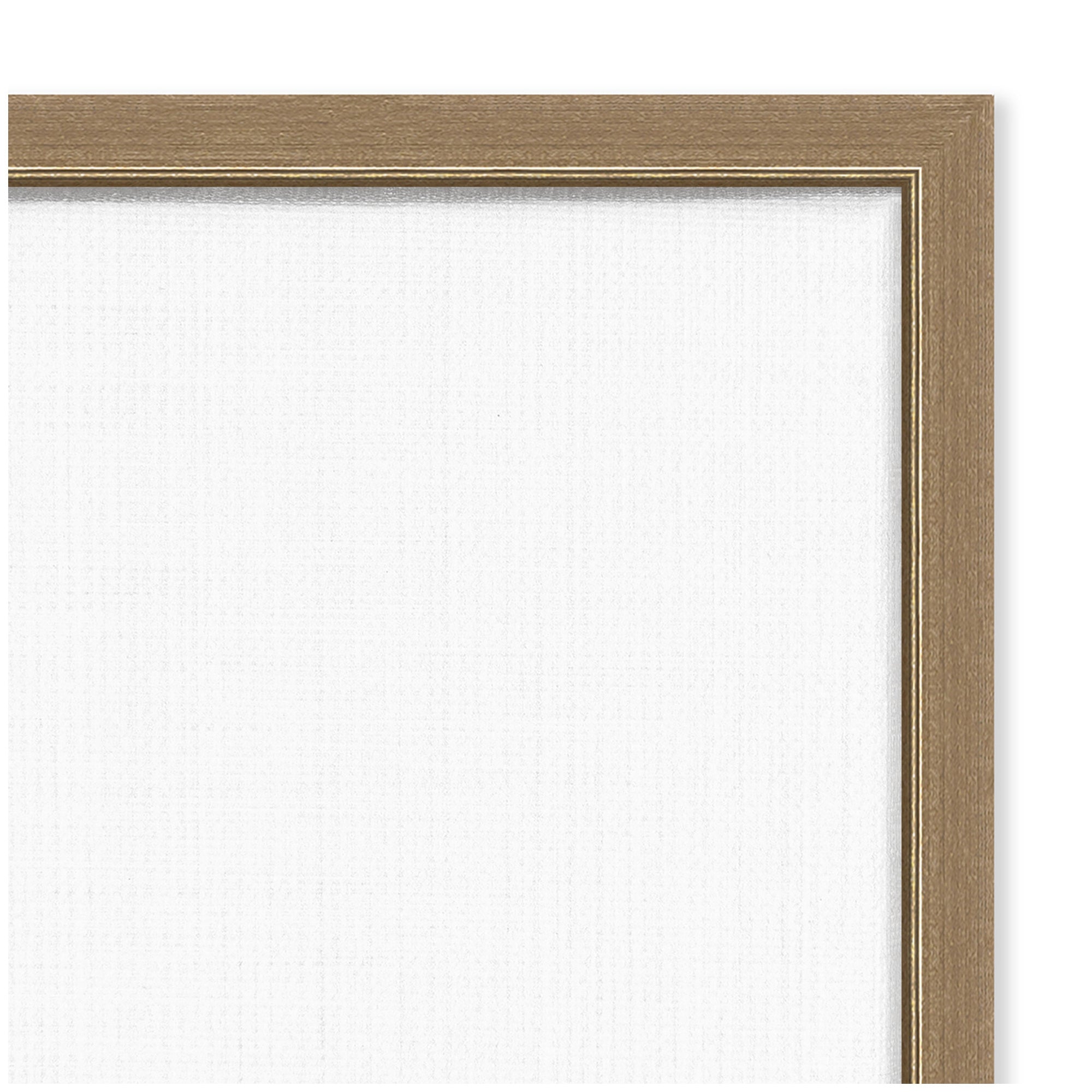 Aquarius Matchbook Linen FC by Megan Ryan Framed Canvas Wall Art Print