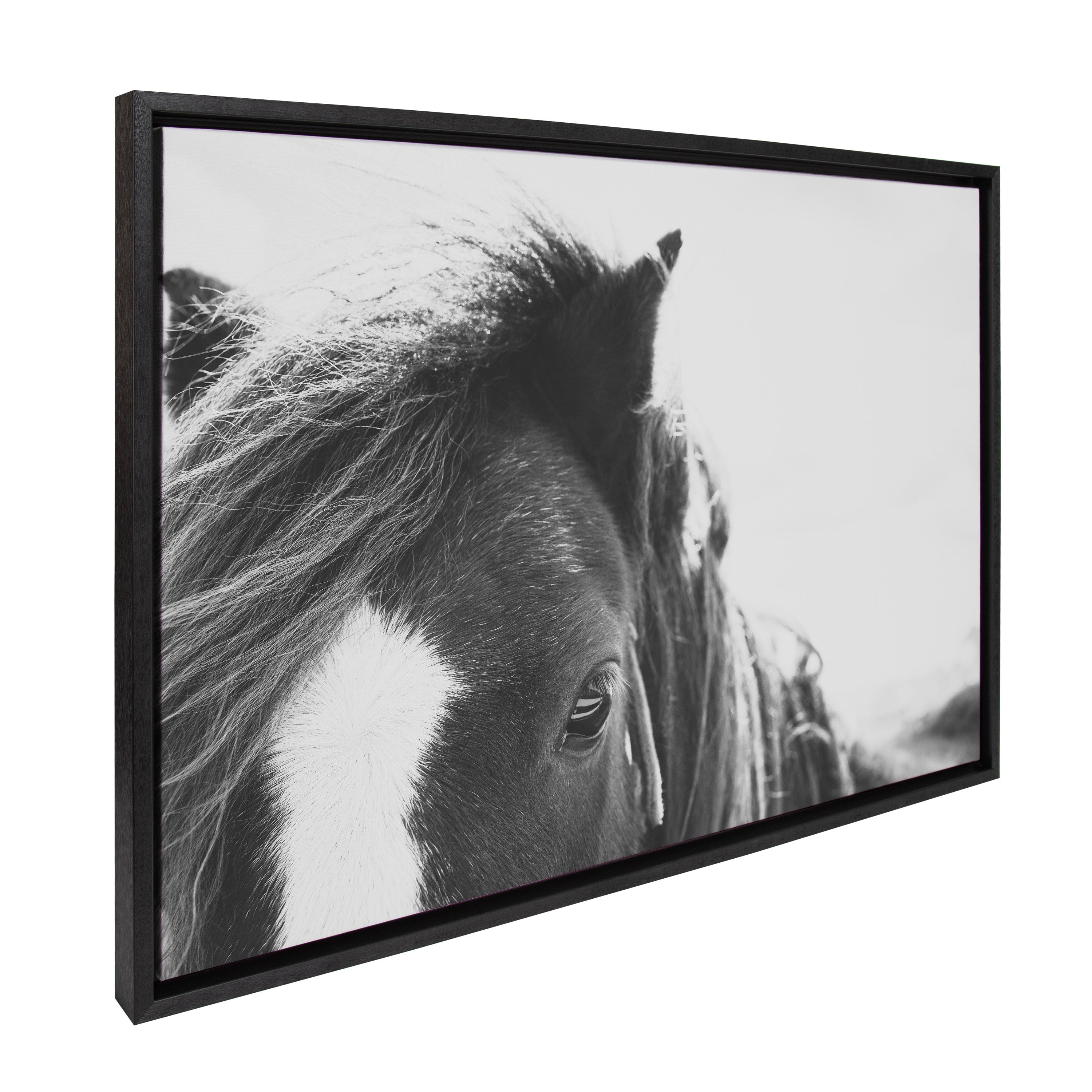 Framed Canvas 23x33 Sylvie Black 2