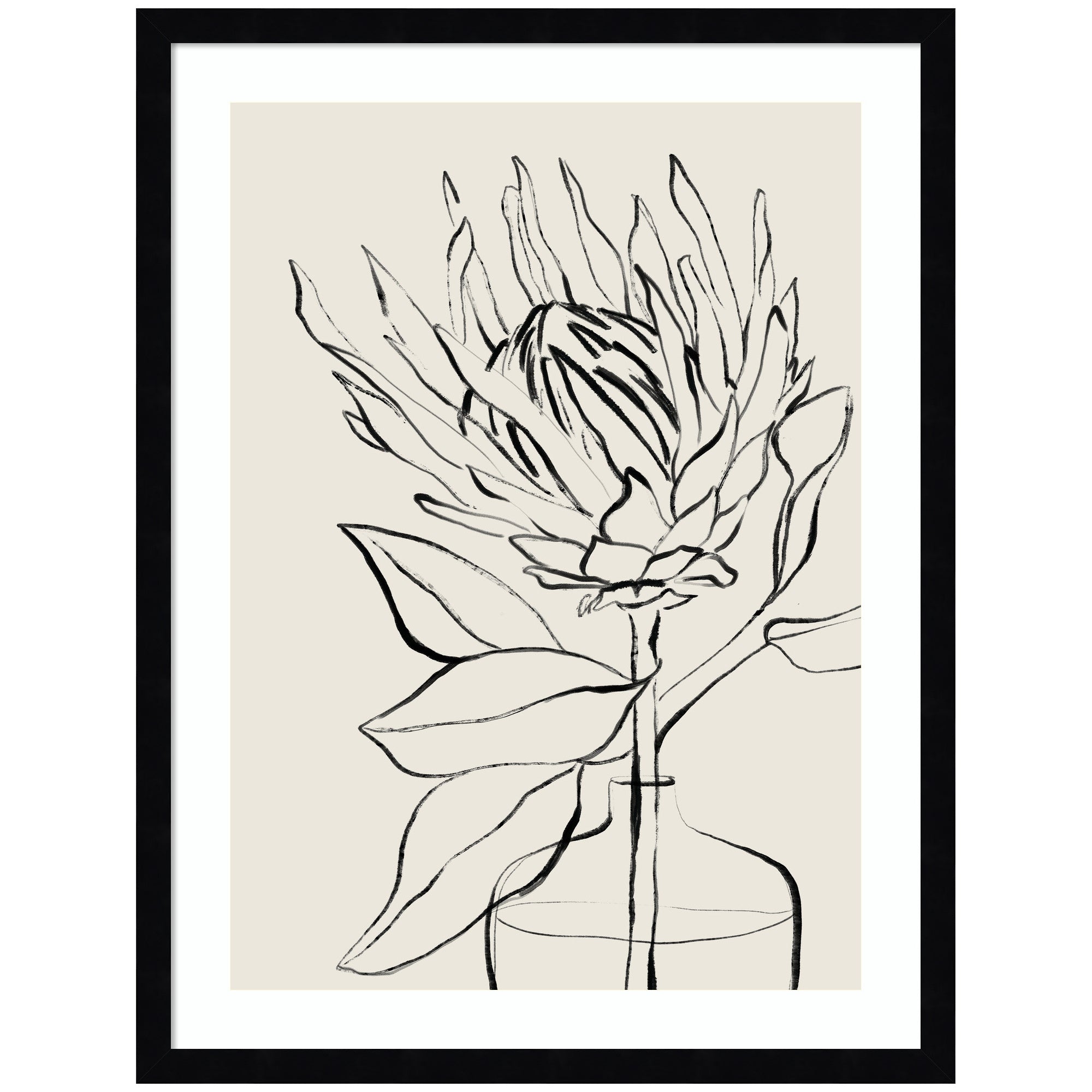 SB Protea Sketch No. 1 by Sara Berrenson Framed Wall Art Print